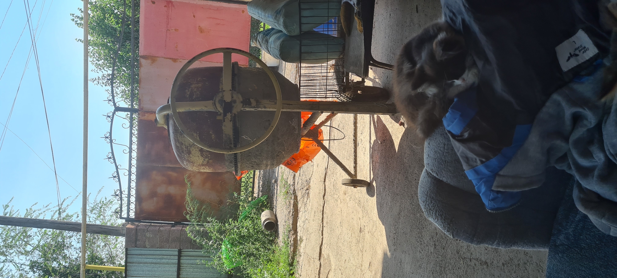 The image depicts an outdoor scene, possibly in a backyard or construction area, located in the city of Belbulak, Kazakhstan. In the foreground, a fluffy cat is sleeping on a pile of blue and grey blankets, which are draped over what appears to be a chair or sofa. Behind the cat and blankets, a cement mixer stands prominently. The cement mixer is old and weathered, with a large drum and a wheel for tilting. It is supported by a metal stand and has a smaller wheel on the left side. An orange tarp is visible underneath the drum of the cement mixer.
In the background, a rusty metal gate with decorative ironwork is visible. Beyond the gate, there are trees and foliage, suggesting a green, vegetated area. A tall wooden pole with wires running across it stands to the left of the gate, and a section of a grey metal fence is also present on the far left. The ground is covered in gravel and dirt, with some cracks visible. Sunlight is casting shadows across the scene. To the right of the cement mixer, there is a metal table or workbench with two blue objects, possibly cushions or bags, placed on it. A black wire cage is also situated near the table. A detached concrete pipe lies on the ground near some overgrown green plants to the left of the cement mixer. The sky is clear and blue.