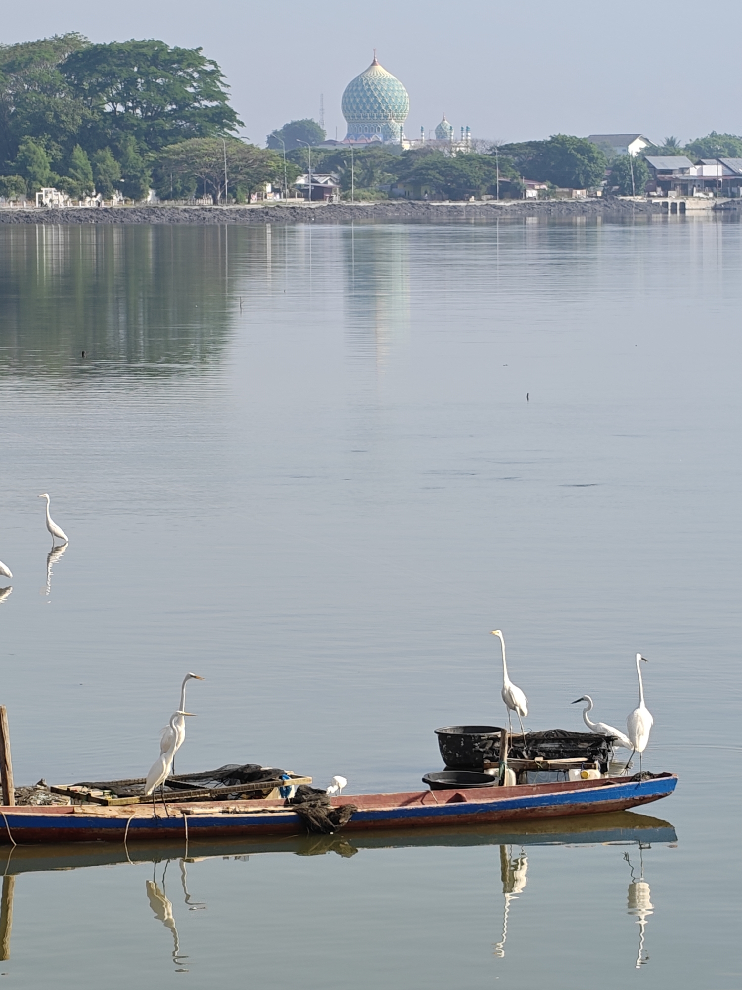 The photograph captures a calm waterscape in the city of Lhokseumawe, Indonesia, with a clear sky suggesting fair weather. In the background, a town is visible, characterized by buildings and lush green trees lining the coast. A notable landmark is a mosque with a prominent, turquoise-colored, patterned dome. The still water reflects the buildings and dome, creating a mirrored image.
In the foreground, a long, narrow boat with a red and blue exterior rests on the water. On the boat, there are several white egrets standing calmly. There are also some fishing tools. The reflections of the boat and the birds are visible on the water's surface. The overall scene conveys tranquility and the intertwining of urban life with nature.