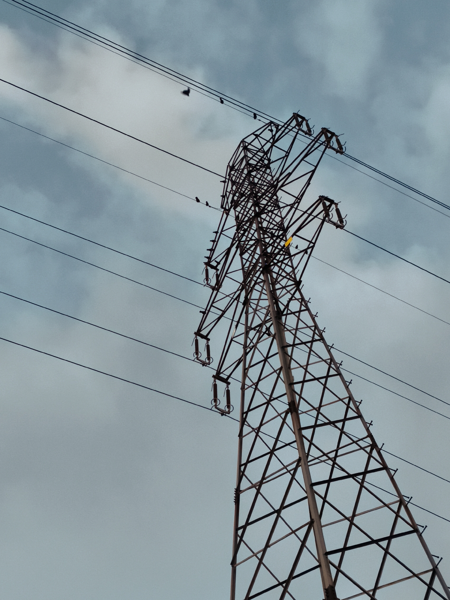 An outdoor, low-angle shot captures a tall, lattice-style electricity pylon against a cloudy, overcast sky. Multiple power lines extend horizontally across the frame, some passing behind and in front of the pylon. Several small birds are perched on the power lines and on the pylon itself. One bird is in flight above and to the left of the pylon, its wings spread. The pylon has a rusty, weathered appearance. There is a small yellow marker attached to one of the pylon's crossbeams. The scene does not depict any specific landmarks that would allow for precise identification of its location within Gdańsk, Poland.