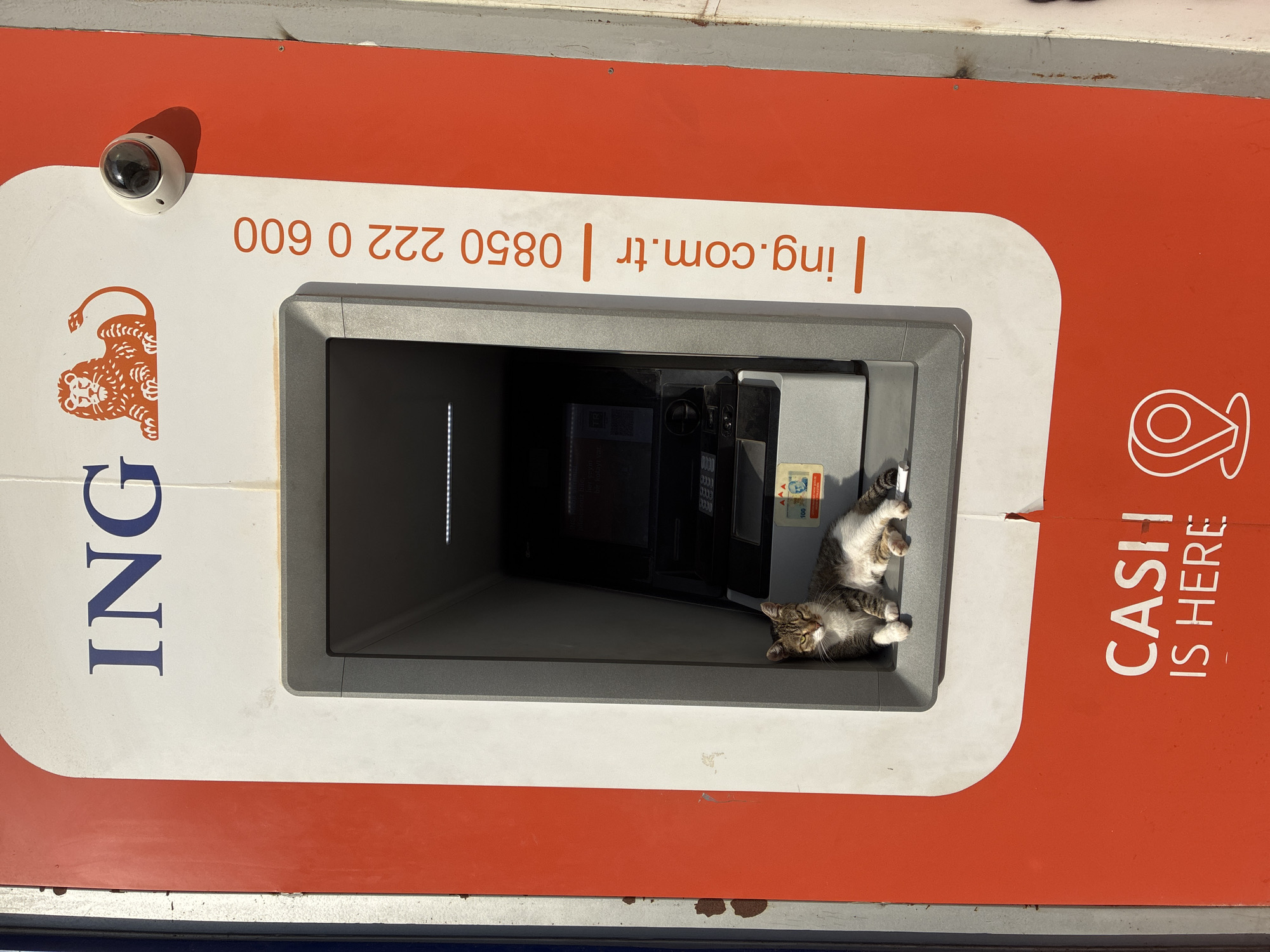 A tabby cat rests inside the slot of an ING bank ATM machine in Alanya, Turkey. The ATM is orange and white with the ING logo and contact information visible. The cat is lying down, with its front paws extended. The ATM slot is dark, and the cat's face is illuminated by sunlight. In the background, a security camera is mounted on the ATM. The text "CASH IS HERE" is visible on the orange part of the ATM.