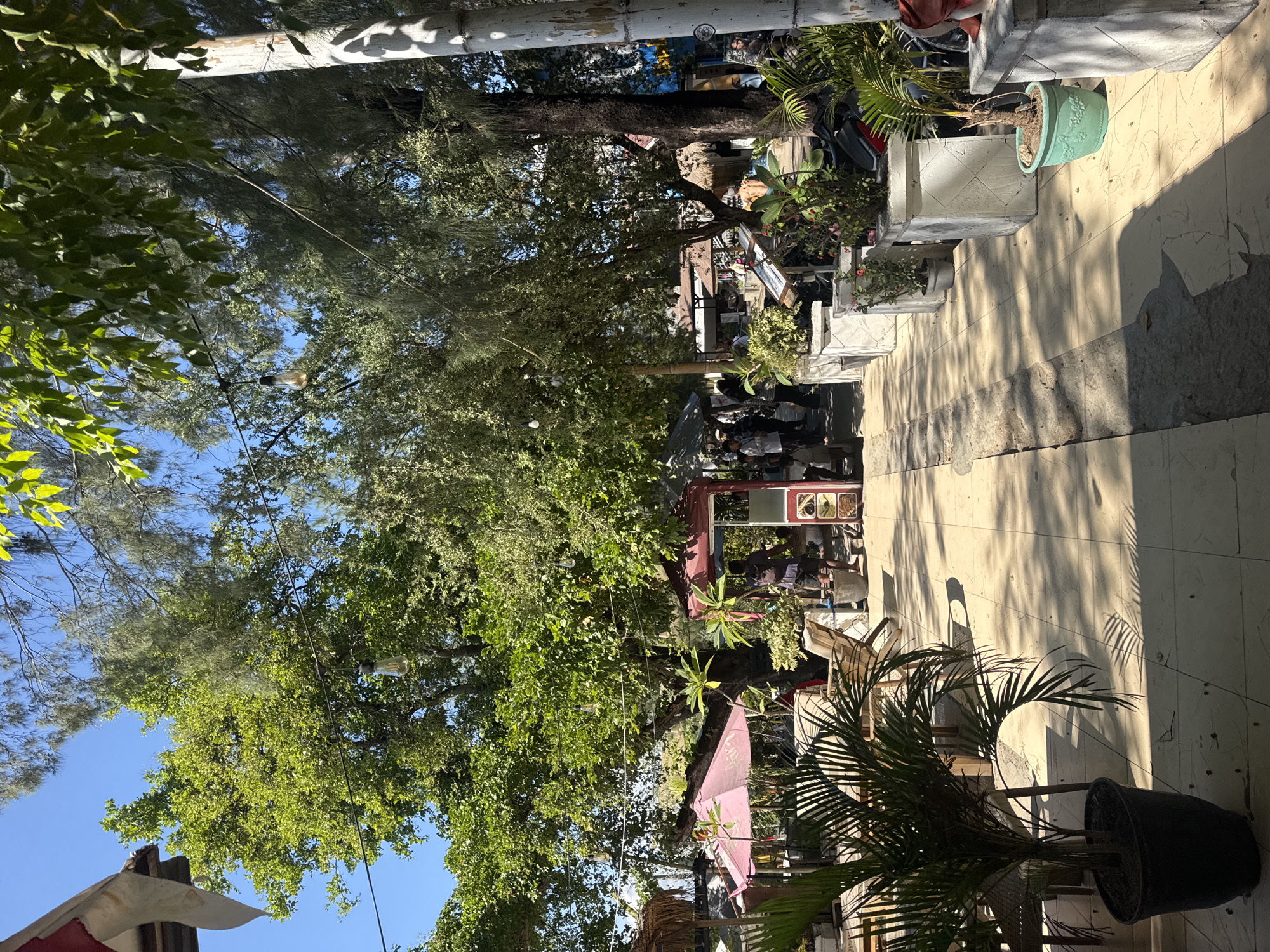 This is a daytime, eye-level, medium shot of an outdoor cafe or market area in Unknown, Indonesia. A pathway paved with light-colored tiles runs horizontally across the foreground, with dappled sunlight and shadows cast by trees. To the left, potted plants, including a large palm in a black pot, are visible, along with outdoor seating, including chairs and tables. A pink umbrella is also present. In the mid-ground, a red stall or kiosk is set up with people standing around it. Beyond this, more trees and structures, some with thatched roofs, can be seen. To the right, large white planters containing more plants line the path. A white pole, possibly a utility pole or part of a structure, is on the far right. The sky is clear and blue. There are several people visible in the scene, some appearing to be customers and others working at the stall. The overall impression is of a casual, outdoor commercial area in a warm climate.