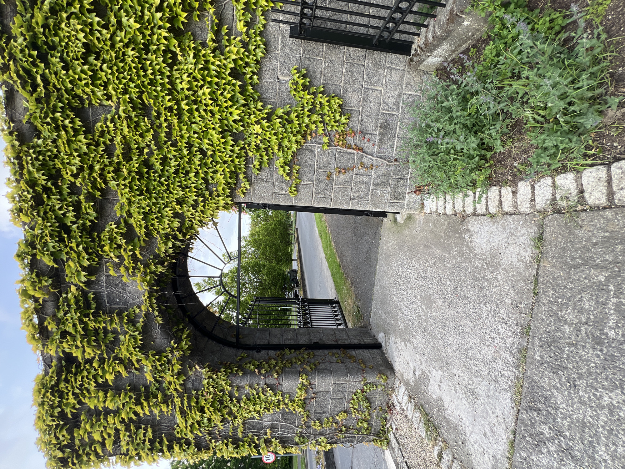 The image shows a stone archway covered in ivy, leading to a path and gate in an urban environment. The left side of the arch is heavily covered with dense green ivy, while the right side has sparser ivy growth. A black metal gate is visible through the archway, with trees and a road beyond. The path leading through the archway is made of concrete, and there is some greenery along the right side of the path. A speed limit sign is visible on the lower left side of the frame.