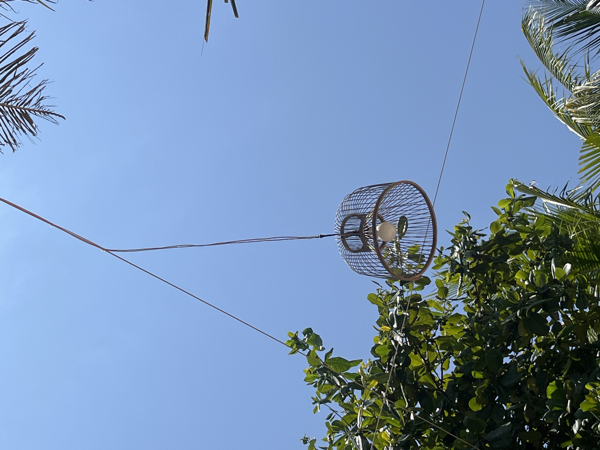 Here is a description of the image:
A daytime shot from below shows a metal cage-like lamp suspended between trees under a clear blue sky. The lamp contains a lightbulb. Two thin brown wires connect to the lamp. Parts of palm trees and green-leafed trees are visible in the frame's periphery. The location is suggested as Bac Natural Heritage Area Trang, Vietnam. No people are visible. The general impression is of a simple, outdoor lighting installation.