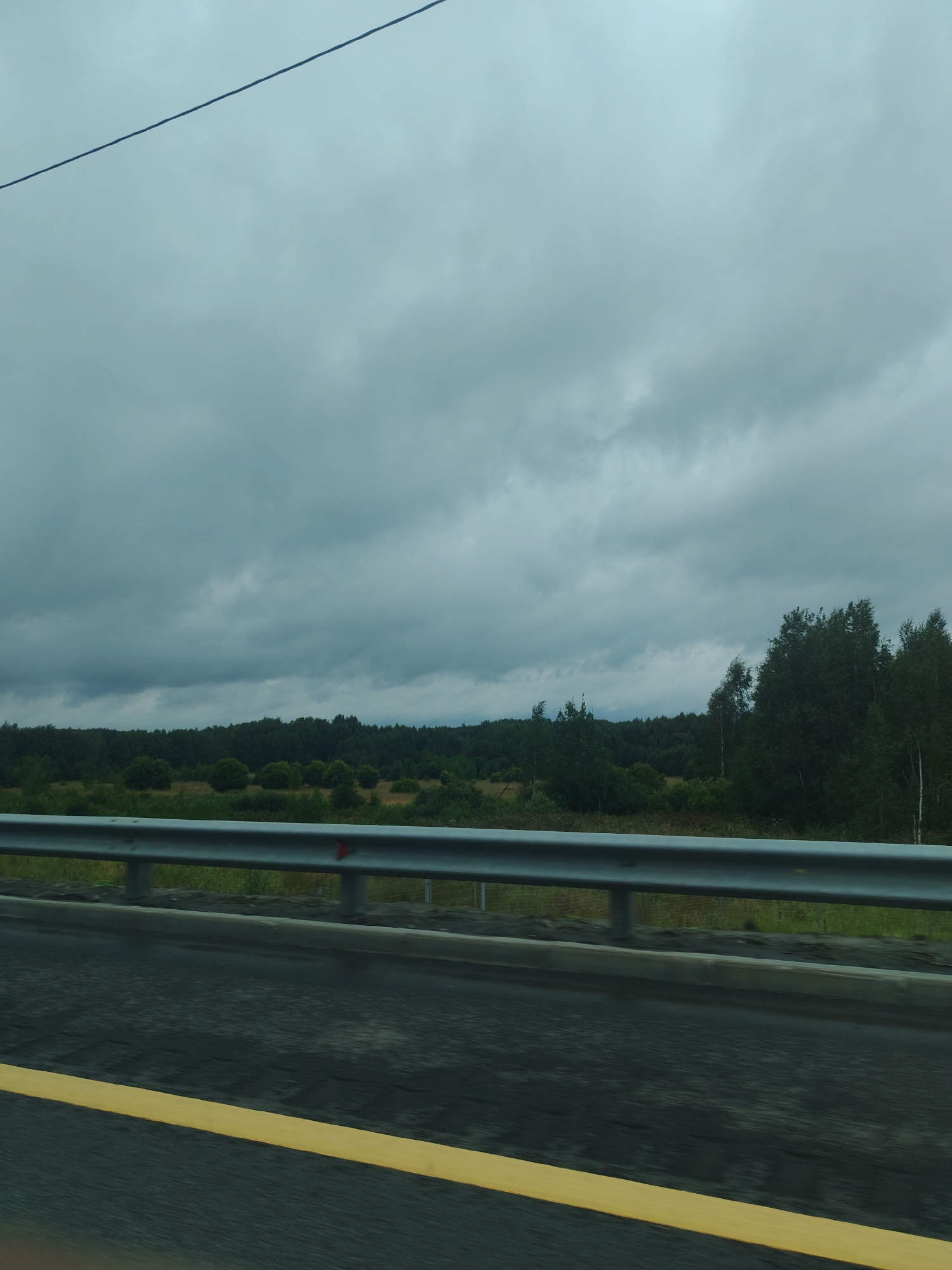 A photograph taken from a moving vehicle shows a cloudy sky over a rural landscape. In the foreground, the asphalt road with a yellow line is visible. A metal guardrail separates the road from a grassy area with sparse vegetation and trees. In the background, a dense forest stretches across the horizon. The scene appears to be located in Fedorovka, Russia, based on the provided information.