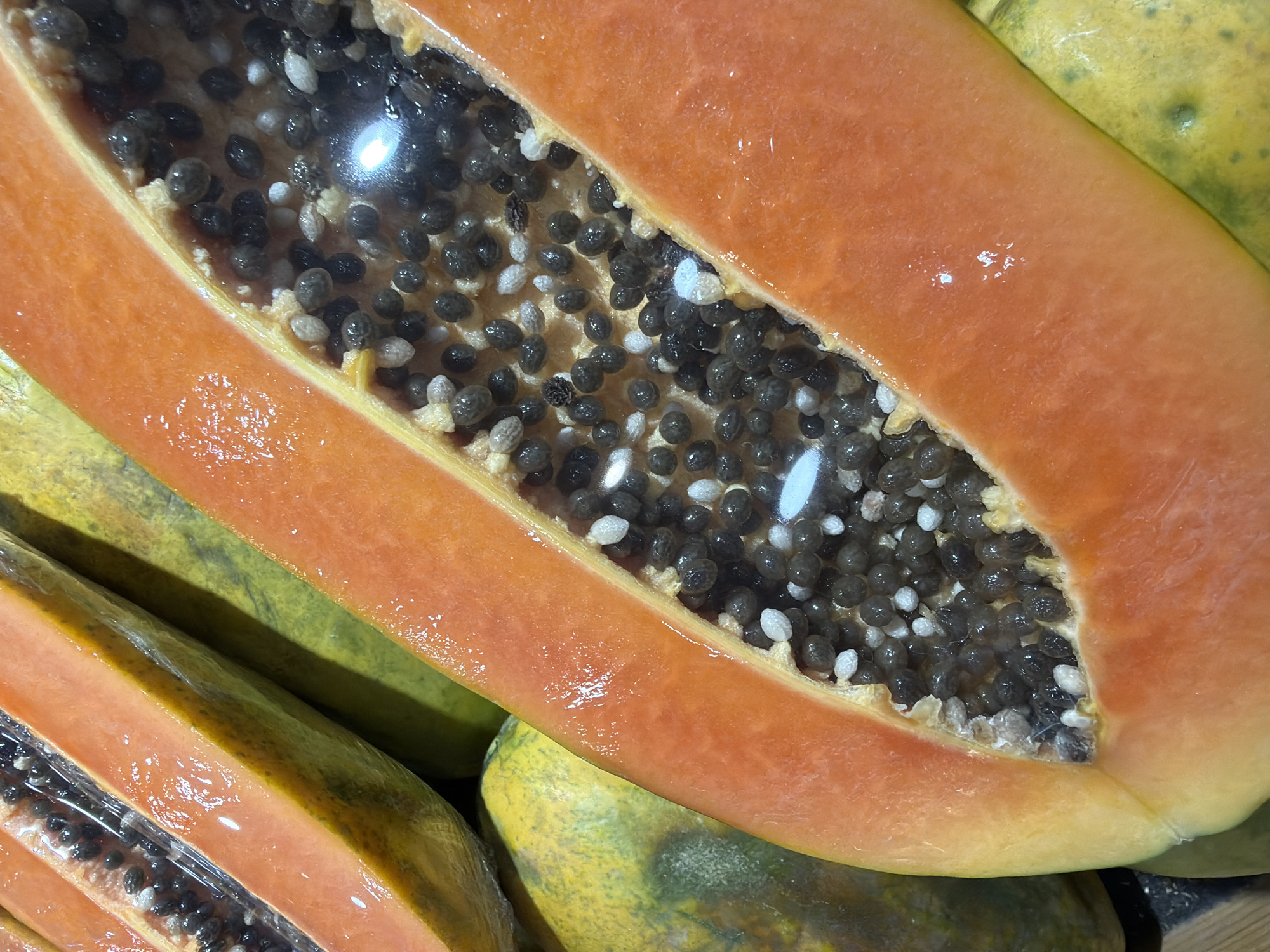 This image is a close-up, high-angle shot of two halves of a papaya, cut lengthwise. The bright orange flesh of the fruit is prominent, with a central cavity filled with numerous small, black seeds interspersed with some lighter-colored seeds. The surface of the papaya flesh appears moist and slightly reflective. In the background, other papayas are visible, some with green and yellow skin, suggesting they are less ripe. The lighting creates highlights and shadows, emphasizing the texture and form of the fruit. The image does not contain any people or specific environmental elements that would place it in Kute, Indonesia, or any other specific city. It appears to be a still life or food photography composition.