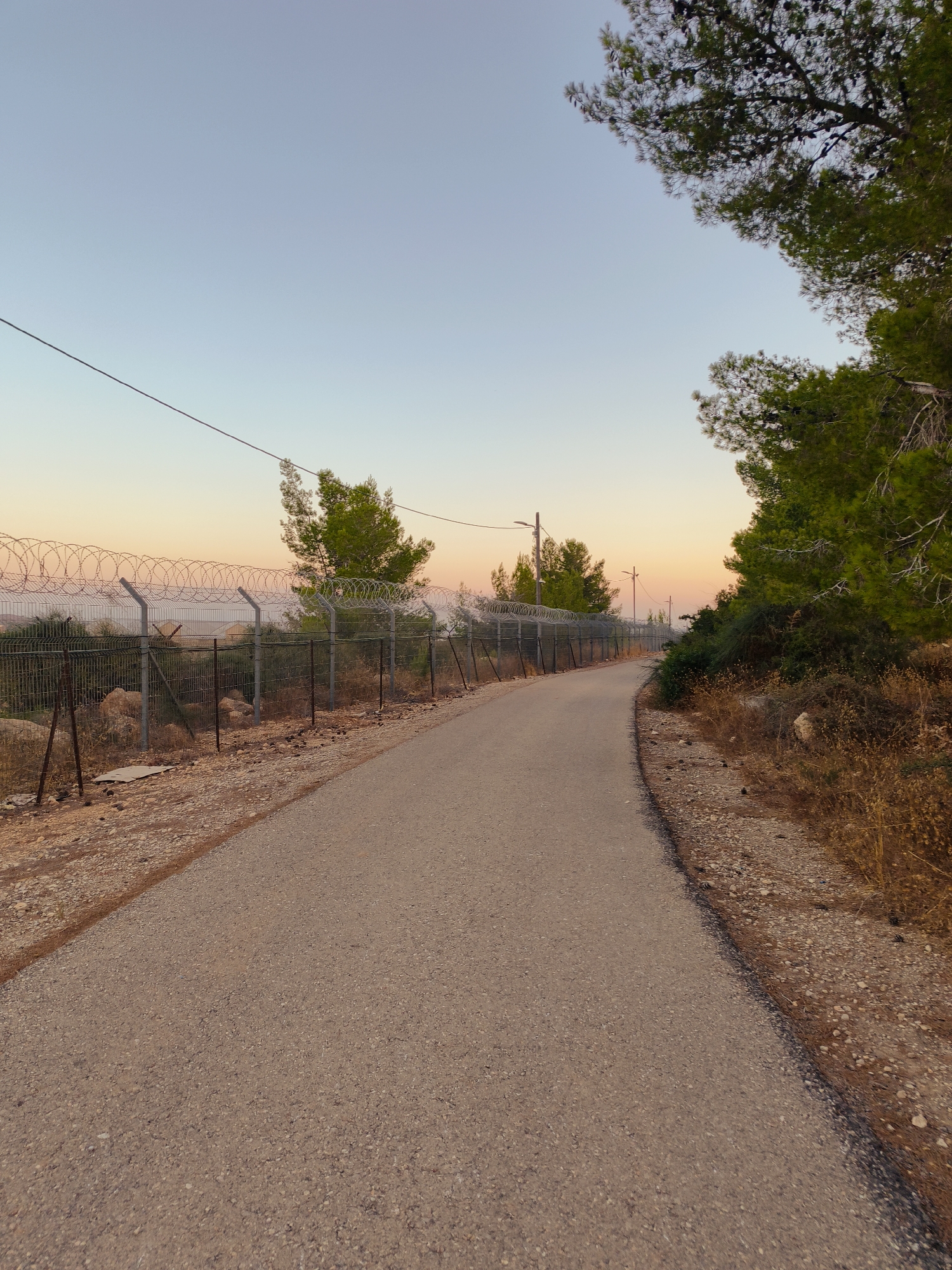 A paved road curves through a dry, rocky landscape under a pale, gradient sky. On the left, a chain-link fence topped with barbed wire stretches along the roadside, with sparse trees and arid vegetation beyond it. Several utility poles are visible in the distance along the fence line. On the right, the roadside is a rough, gravelly area with dry grass and some scattered rocks. Tall green pine trees dominate the right side of the frame, their branches extending towards the sky. The overall scene suggests an outdoor, possibly rural or border area, in the Lachish Regional Council, Israel.