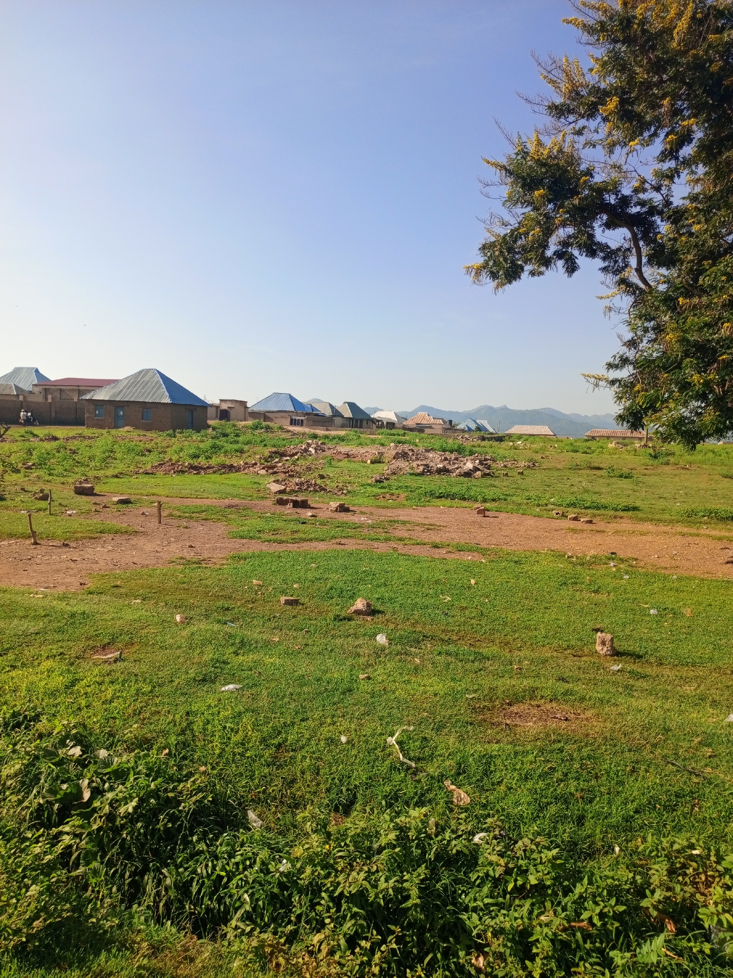 The image depicts a village scene in Rinjim Gani, Nigeria, under a clear blue sky. In the foreground, a grassy field dotted with dirt paths and scattered rocks stretches towards a cluster of buildings. The structures feature corrugated metal roofs, some with blue and silver finishes, and appear to be of simple construction. In the middle ground, several houses are visible, with a few people and a motorcycle near one of the buildings. The background shows rolling hills and mountains under the bright sun. A large tree with yellow flowers is prominent on the right side of the frame, casting shadows on the surrounding vegetation. The overall impression is of a rural residential area on a sunny day.