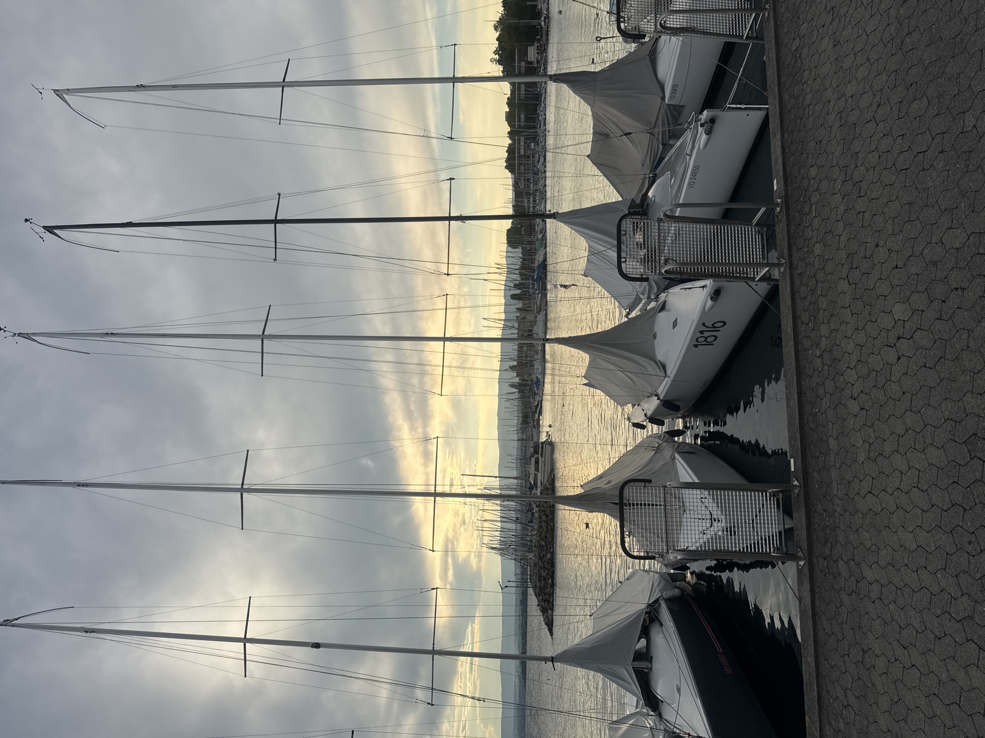 The image depicts a serene evening scene at the Ouchy harbor in Lausanne, Switzerland, with a row of sailboats docked along the quay. The sun is setting, casting a warm, golden glow across the calm waters of Lake Geneva and the cloudy sky. The sailboats, with their masts reaching high into the sky, are mostly covered with protective tarps, suggesting they are not in active use at this moment.

The foreground is dominated by the textured, interlocking paving stones of the promenade, leading the viewer's eye towards the water. The middle ground features the docked sailboats, their hulls partially visible beneath the covers. The numbers "1816" and "VD 24850" are visible on the hulls of two of the boats, likely registration marks. In the background, numerous other sailboats and a few motorboats are moored, creating a picturesque marina scene. Beyond the harbor, the shoreline of Lausanne is visible, with buildings and trees lining the coast, and hills forming a gentle backdrop against the horizon. The overall atmosphere is one of tranquility and quiet beauty, characteristic of a peaceful evening by the lake. There are no people visible in the image.