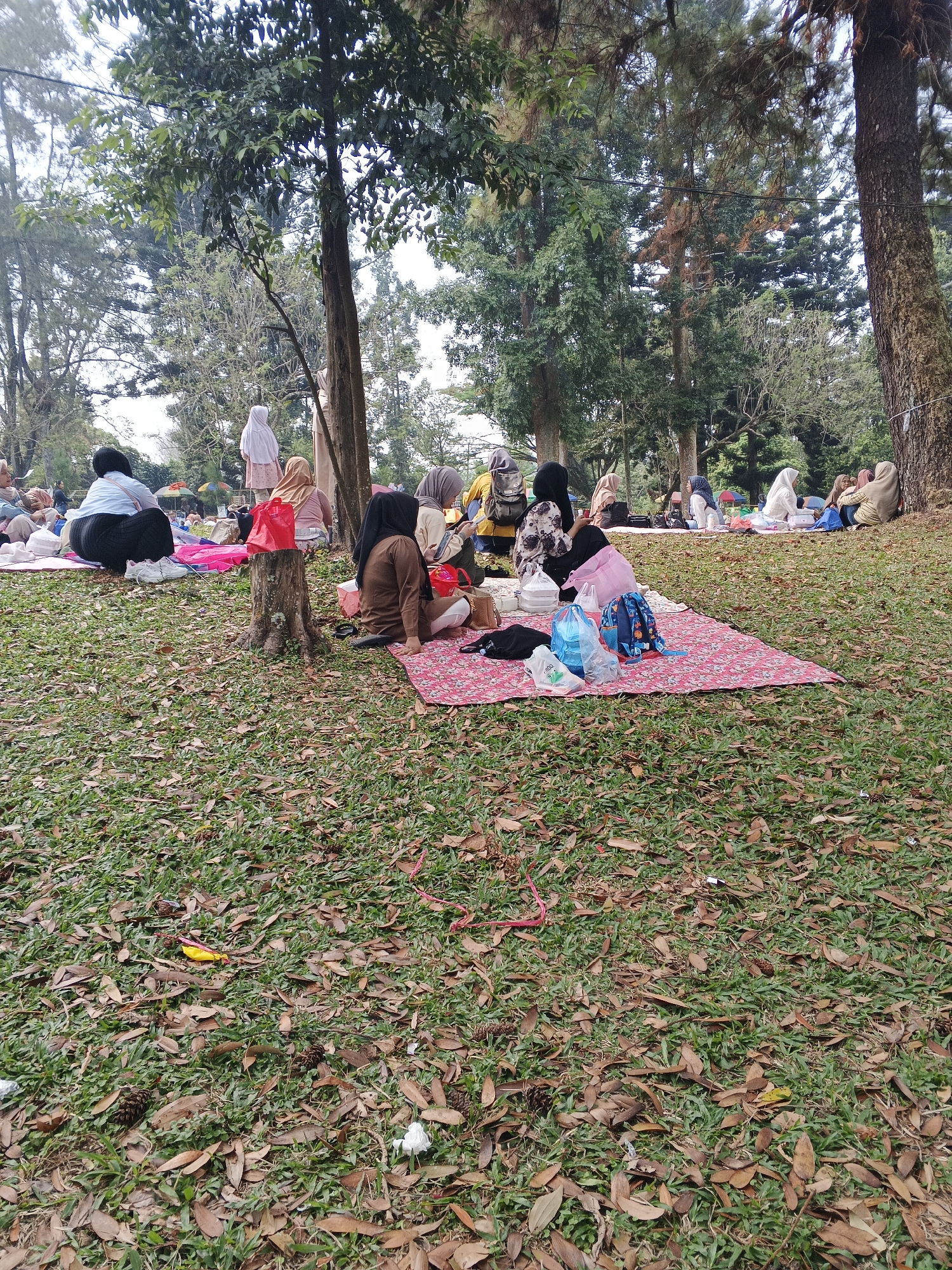 A group of people are having a picnic in a grassy park with trees. The scene is set in Perbawati, Indonesia. In the foreground, several individuals are seated on blankets spread on the ground. One person in a brown hijab and white pants is sitting on a red floral blanket. To their left, a red tote bag sits on a tree stump. Further left, a person in a light blue top and dark pants is seated on a pink blanket. In the midground, more people are gathered, some with backpacks and shopping bags. Some are sitting on blankets, while others are standing. The background consists of tall trees and foliage. The ground is covered with green grass and scattered brown leaves and pinecones. The overall atmosphere appears to be a relaxed outdoor gathering.