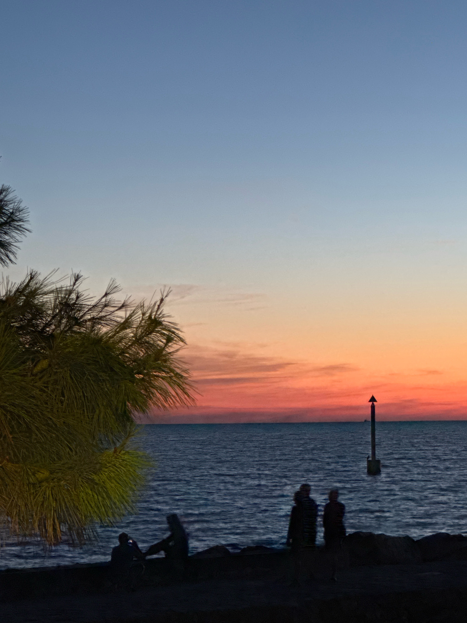 The image depicts a serene sunset scene over the Adriatic Sea, likely near Novigrad, Croatia. The sky transitions from a pale blue at the top to hues of orange, pink, and red near the horizon, with some wispy clouds present. In the foreground, a dense, green pine tree with long needles occupies the left side of the frame, partially obscuring the view.
The sea is a deep blue with gentle ripples reflecting the sky's colors. A solitary marker post, with a triangular top, stands in the water to the right of center, appearing to be a navigational aid.
Along the shoreline in the lower portion of the image, silhouetted against the twilight, are several individuals. Two figures stand close together on the right, and two more figures are seated on the left, one of whom appears to be holding a phone. The foreground is a dark, rocky embankment, suggesting a coastal path or natural rock formations. The overall atmosphere is peaceful and contemplative, capturing the end of a day.