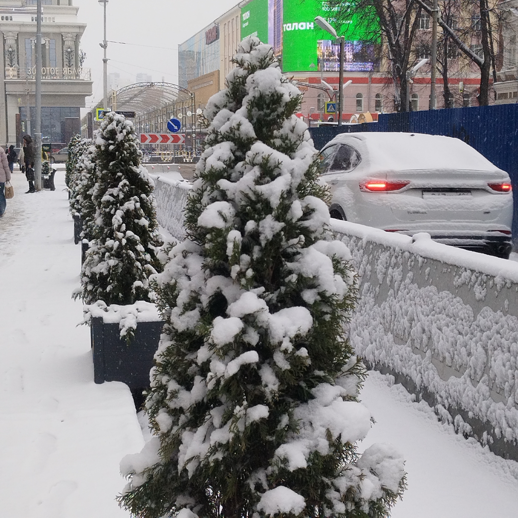 The image depicts a snowy street scene in Yekaterinburg, Russia. A row of snow-covered coniferous trees in planters lines the sidewalk. A light-colored car, also covered in snow, is parked behind a low concrete barrier. A blue construction fence is visible behind the car. In the background, buildings can be seen, including one with a large green advertisement that reads "ТАЛОН" (TALON). Another building has the words "30 ОТОЕ ЯБАЛС" visible on its facade. Pedestrians walk on the sidewalk. The scene suggests a cold, snowy day in an urban area.