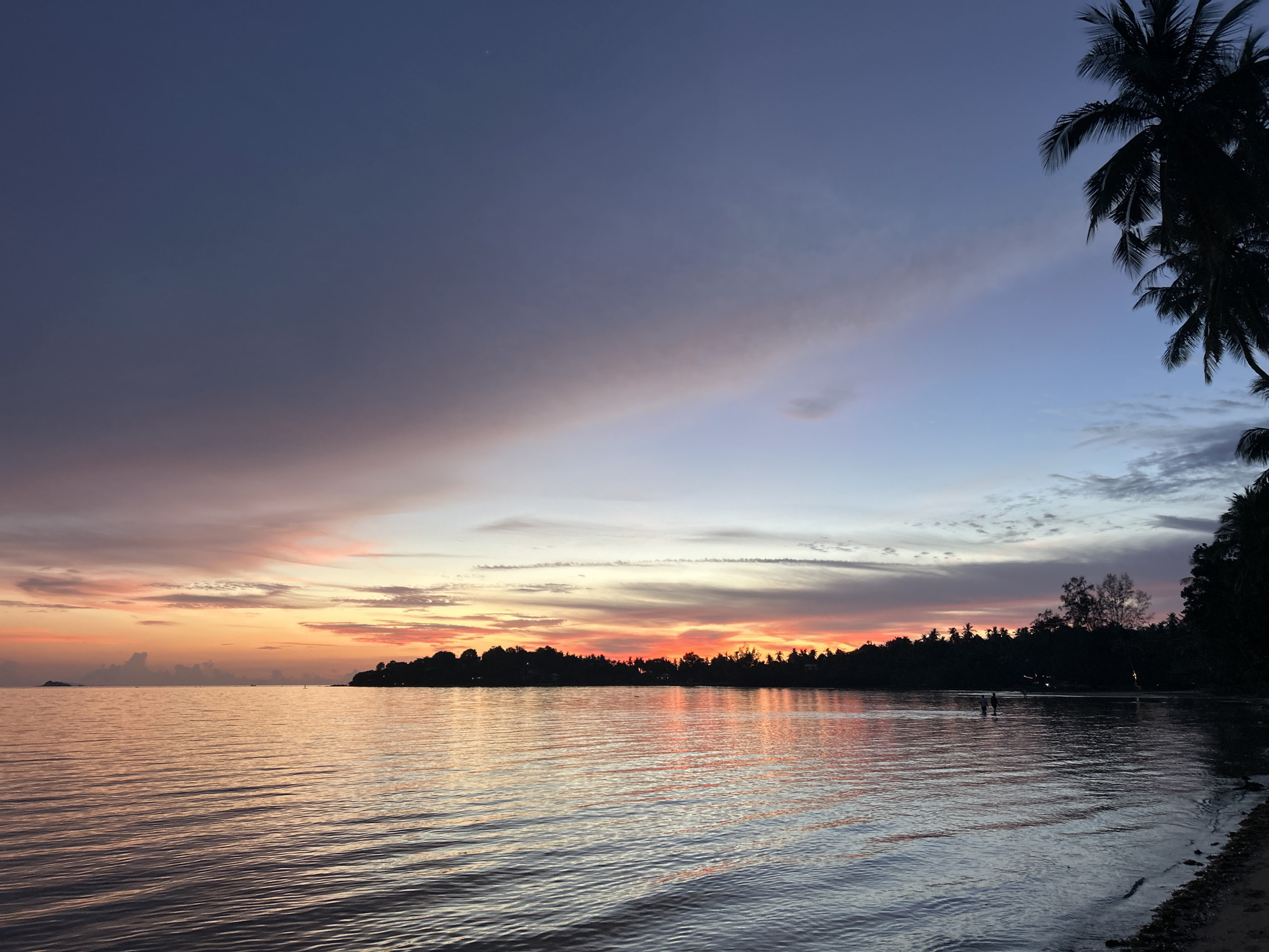 This is a medium shot, taken at eye level, of a tropical beach scene in Ko Pha-ngan District, Thailand at dusk. The sky is a gradient of deep blue at the top, transitioning to purples, pinks, and oranges from a setting sun. The water reflects the colors of the sky, creating a shimmering effect. In the foreground, the water laps gently at a sandy shore. A dark silhouette of palm trees frames the right side of the image, with their fronds reaching towards the sky. The background features a lush green treeline along the coast, with distant islands visible on the horizon. Two figures can be seen wading in the shallow water near the shore. The overall mood is tranquil and serene.