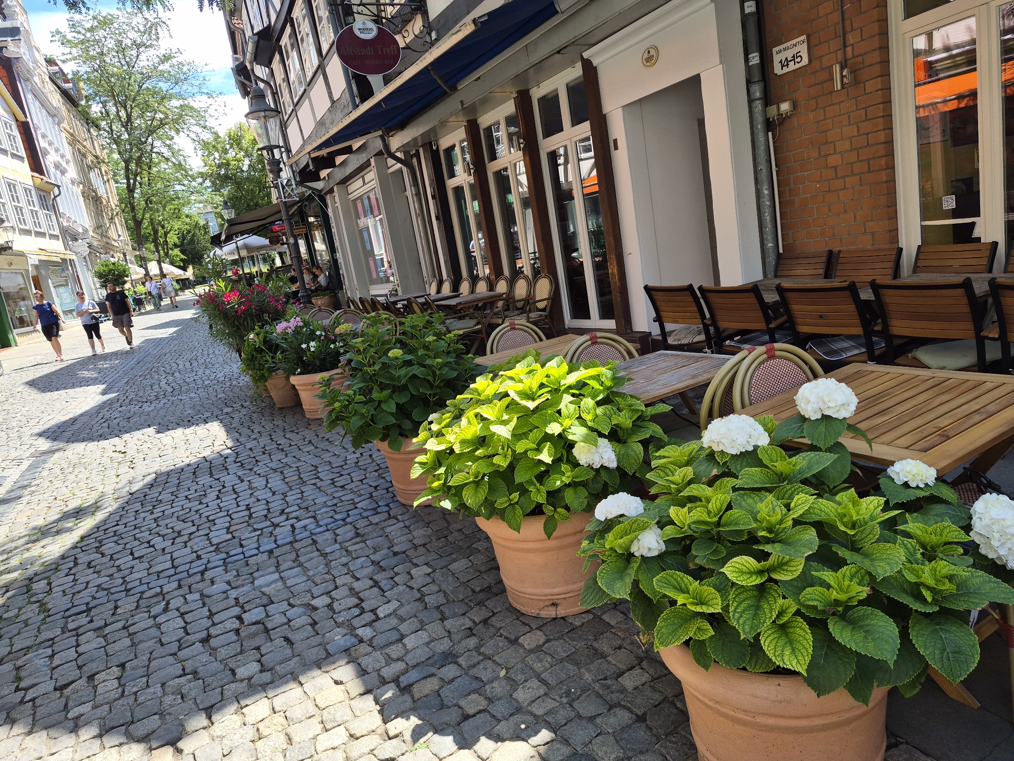 This media file depicts a sunny day in Brunswick, Germany, likely during the late morning or early afternoon given the bright sunlight and distinct shadows. The scene is a charming cobblestone street lined with historic buildings and an outdoor cafe.
In the foreground, large terracotta pots filled with lush green hydrangeas and other flowering plants are arranged along the edge of the sidewalk, creating a vibrant border. The plants are healthy and well-maintained, with some white hydrangea blooms adding pops of color. Beyond the plants, wooden tables and chairs are set up for outdoor dining, some with cushioned seating.
A few people are visible walking down the street. On the left, three women are walking away from the camera, dressed in casual attire suitable for warm weather. Further up the street, a small group of people, likely a family or friends, are also walking. The general atmosphere appears relaxed and pleasant, suggesting a typical day in a European town.
The buildings lining the street are a mix of styles, with some featuring ornate facades and large windows. One building has a sign that reads "Altstadt Treff CAFE - BISTRO - BAR," indicating the presence of a cafe or restaurant. Another building displays a street number "14-15" and "AM-MAGNITÖR" on a metal plaque. The architecture, the cobblestone street, and the outdoor cafe seating all contribute to a classic European urban setting. The bright sunlight and clear blue sky suggest fair weather, enhancing the inviting atmosphere of the scene.