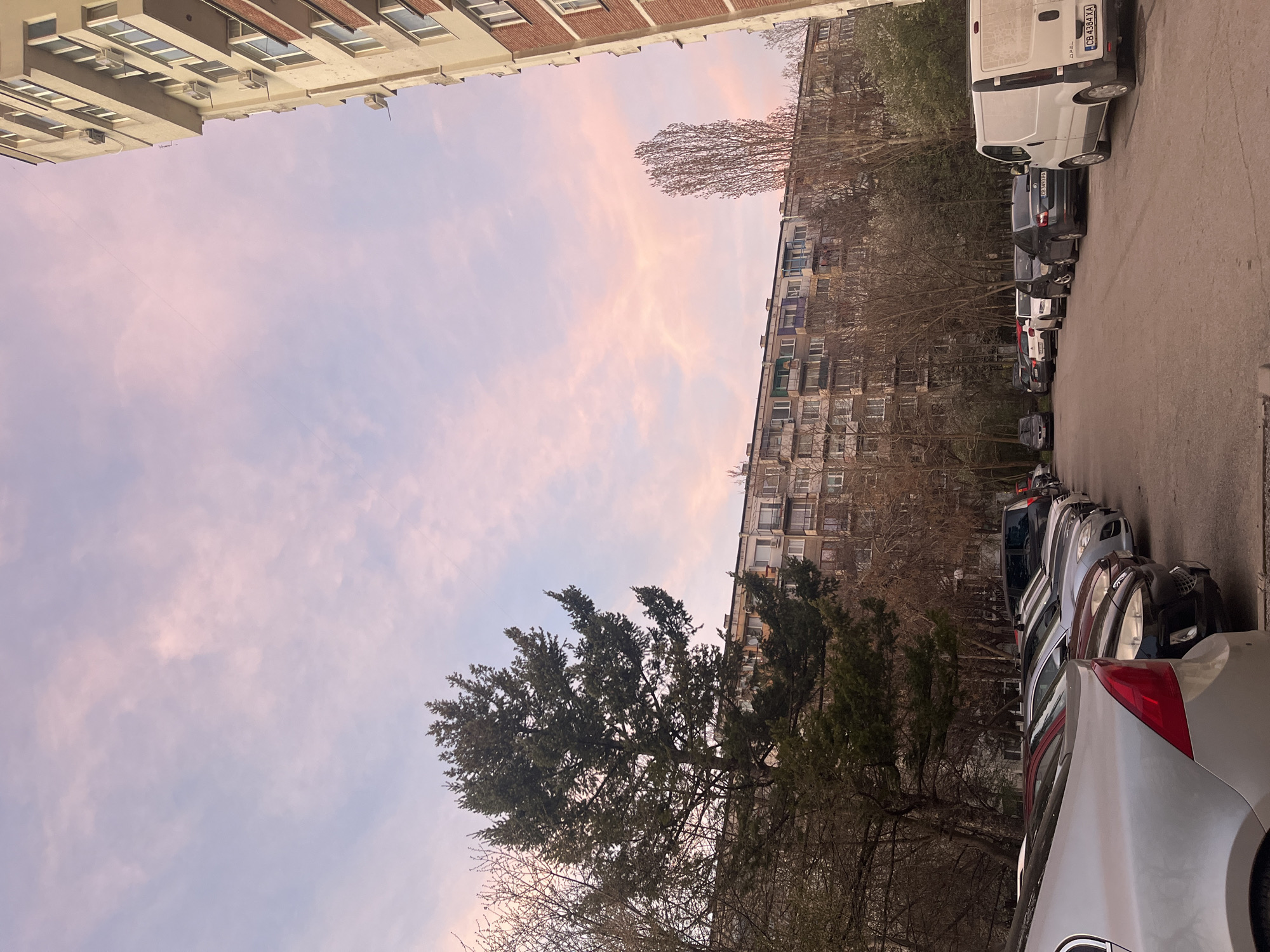 The image shows an urban street scene in Sofia, Bulgaria, with buildings on both sides of the road. The sky is visible above the buildings and is light pink and blue. There are several trees in the image, some with bare branches and others with green foliage. A row of parked cars lines the right side of the street, with a white van at the end. The buildings appear to be residential apartments.