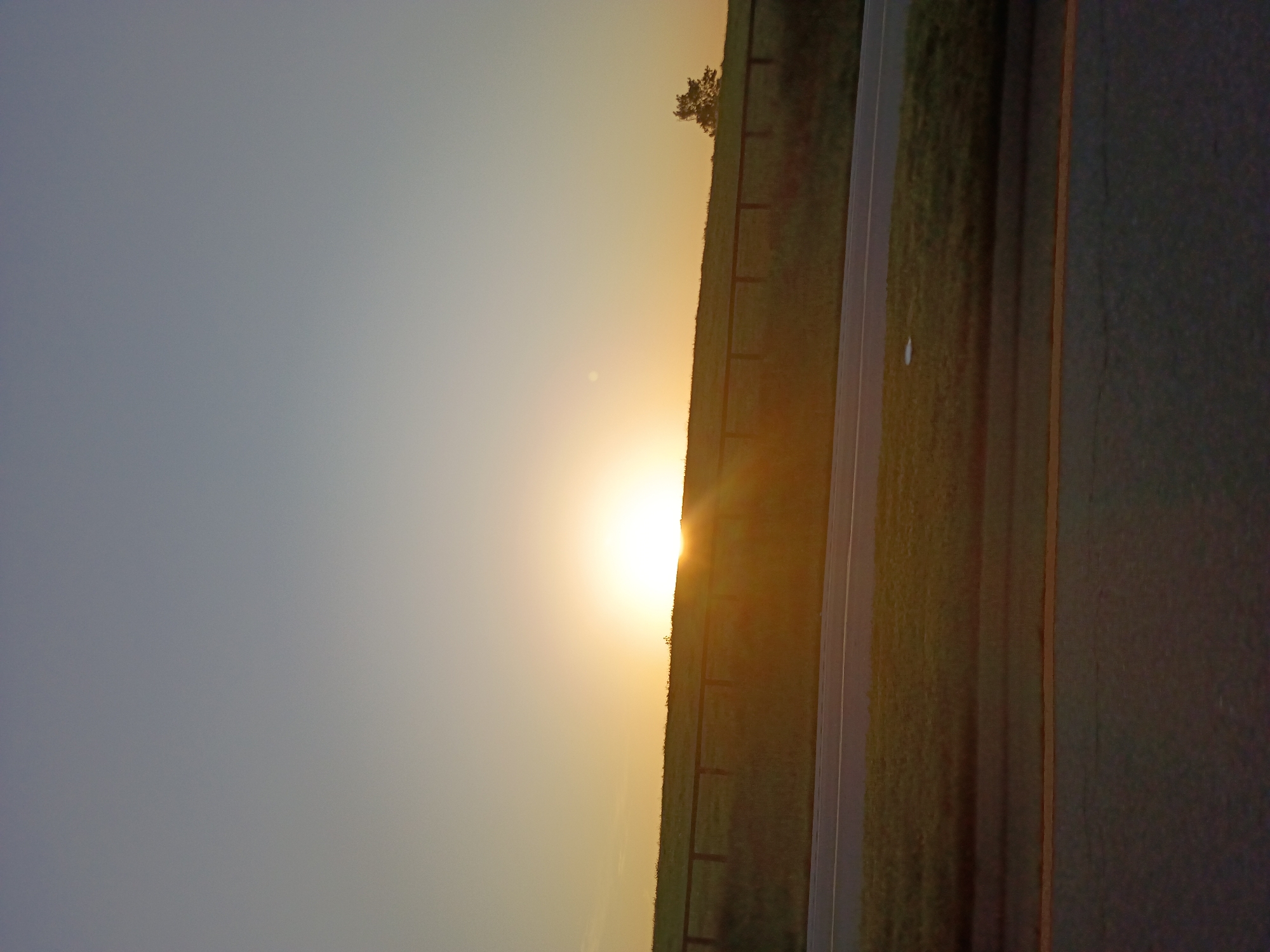 This media file depicts a sunrise over a grassy incline next to a road. The sun is low on the horizon, casting a warm, golden glow across the scene. A thin fence line runs along the top of the incline. A lone tree is visible on the crest of the hill. The sky is a gradient of soft blues and yellows, indicating the early morning hours. To the right of the incline, a portion of a paved road is visible, marked with a yellow line. The overall mood is peaceful and serene, characteristic of a quiet dawn. No people or text are visible in the image. The location is identified as Versailles, United States of America.
