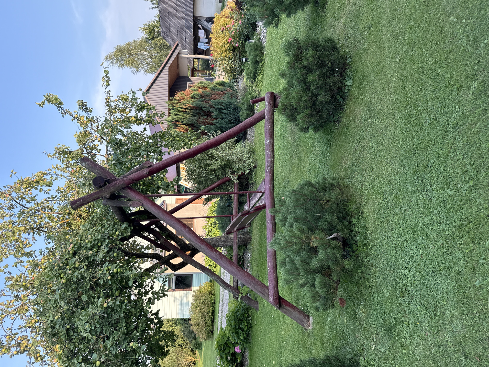 In the city of Vikraičiai, Lithuania, a rustic wooden swing set stands prominently in a well-maintained garden. The swing set, constructed from dark red-stained logs, is triangular in shape, with a wooden seat suspended by chains. It is positioned on a lush green lawn, bordered by various plants and shrubs. In the background, a house with a light-colored facade and a brown roof is visible, alongside other buildings. An apple tree, laden with green apples, partially shades the swing set. The scene suggests a peaceful, domestic setting, likely a residential property.
