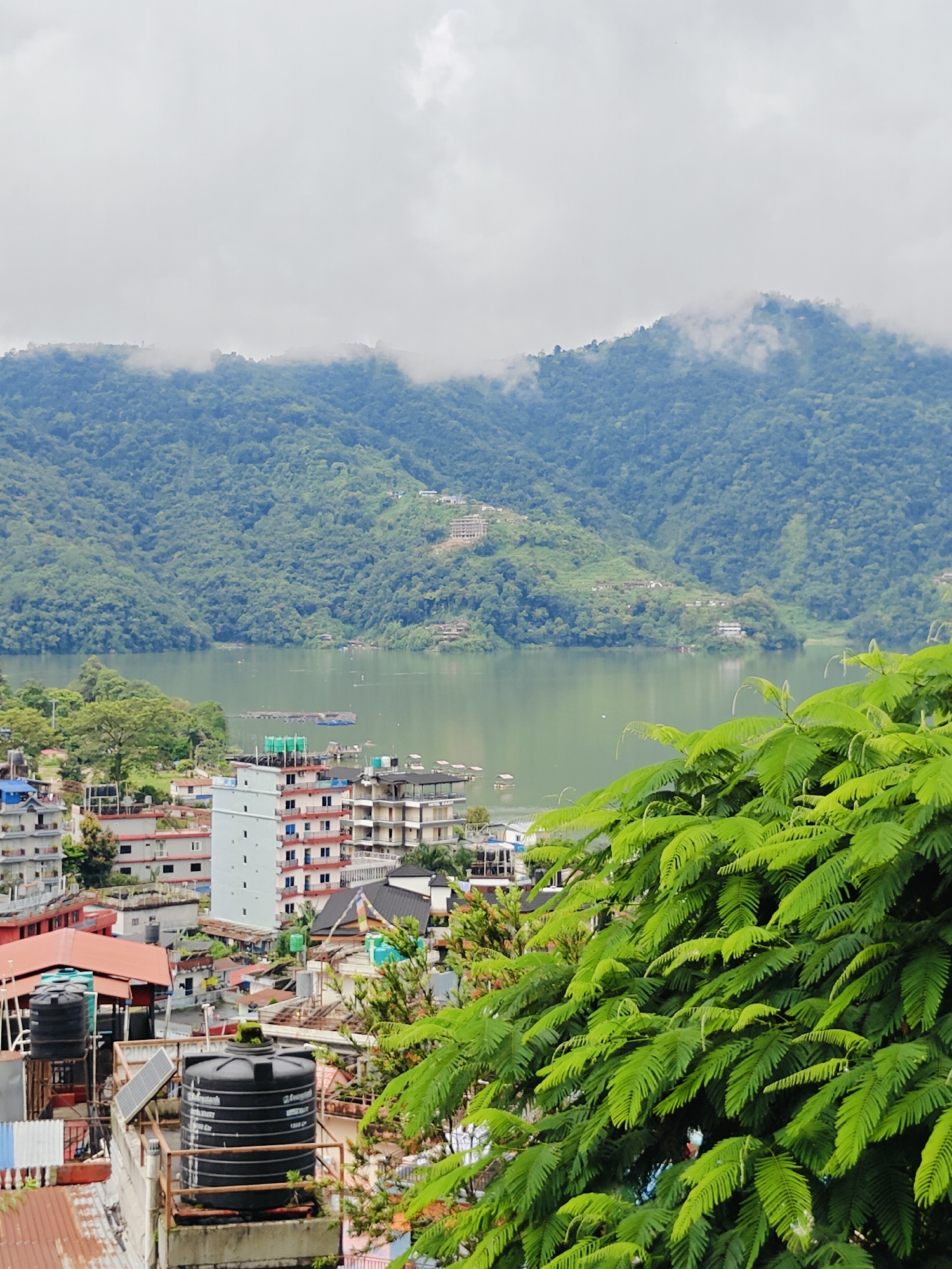 The image is an elevated view of a lakeside city with lush green mountains in the background. In the foreground, vibrant green foliage partially obscures the view of buildings. The city appears to be nestled on the shore of a tranquil, pale green lake. Several multi-story buildings, varying in height and architectural style, are visible. Some have balconies and white exteriors, while others are painted in shades of pink and red. Rooftop water tanks, some black and others green, are prominent on several structures, along with what appears to be a solar panel on one of the black tanks. A few boats or floating structures are present on the lake. The mountains are densely forested and partially shrouded in mist or low-lying clouds. The overall atmosphere is one of a serene, mountainous landscape integrated with urban development. The scene is likely of Lakeside, Pokhara, Nepal, given the characteristic geography of the area.