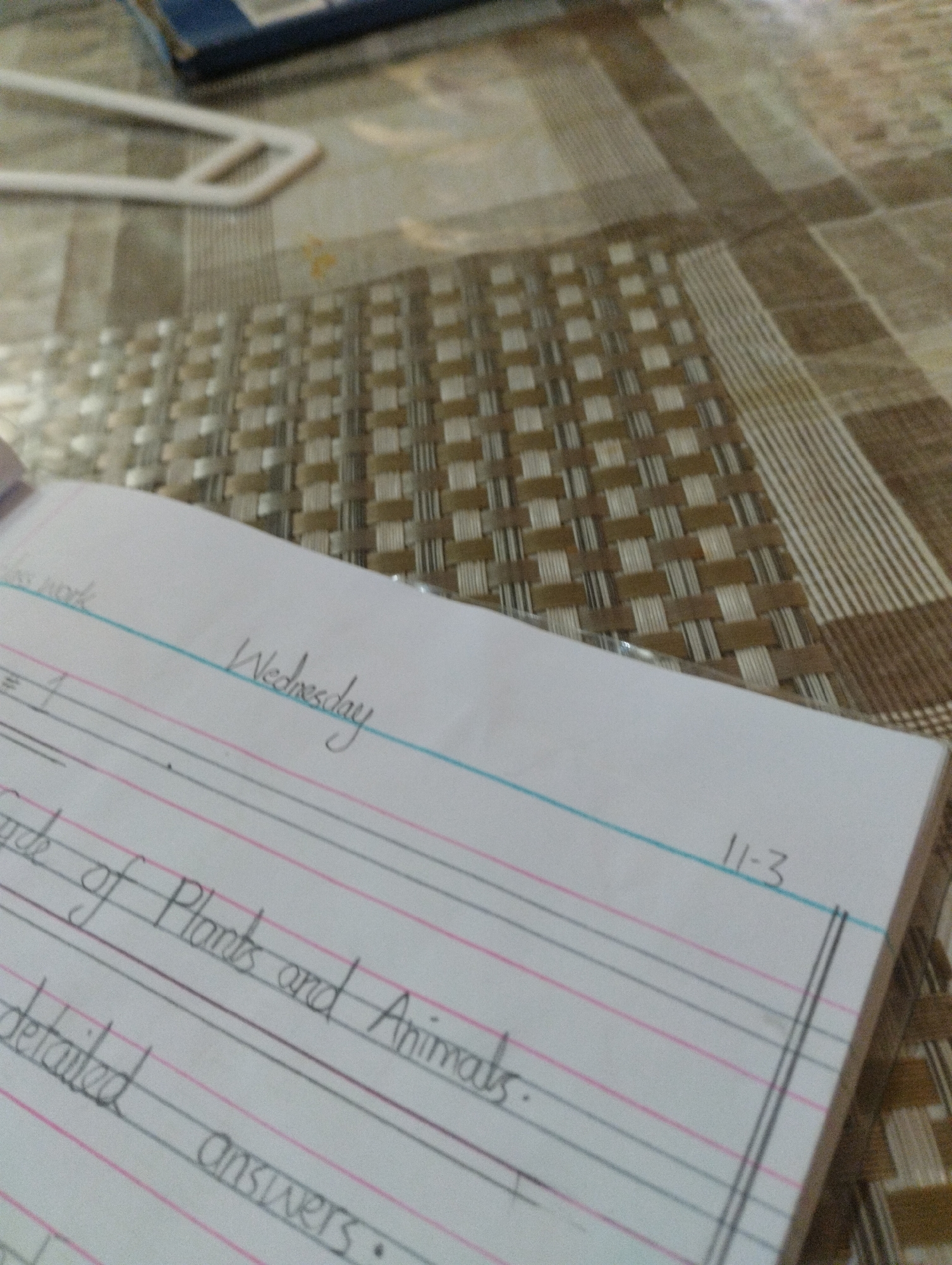 A close-up, eye-level shot shows a notebook page resting on a brown and beige checkered tablecloth. The notebook has ruled lines in pink and black. Handwritten text is visible on the page. The top left of the page has the words "class work" written in cursive. Below that, there is a section with the number "1" and a dash. Further down, the words "cycle of Plants and Animals" are written in cursive, followed by "detailed answers." The word "Wednesday" is written in cursive above the line with "cycle of Plants and Animals." On the right side of the page, the numbers "11-3" are written. The background is out of focus, showing the texture of the tablecloth and a white object, possibly part of a hanger, in the upper left corner. There are no people or animals present in the image.