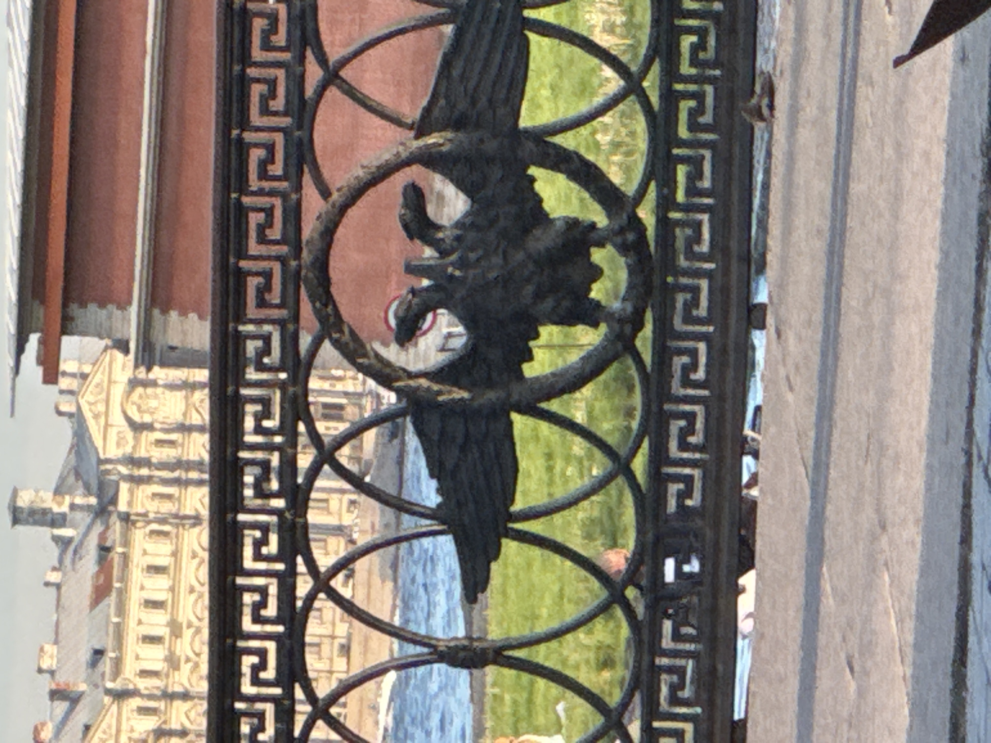 The image, rotated 90 degrees clockwise, displays a close-up view of a black metal fence or railing in Saint Petersburg, Russia. In the foreground, the ornate fence features a prominent, dark, stylized eagle or bird of prey with outstretched wings, centered within a series of interconnected circular and oval elements. The fence's vertical bars are adorned with a repeating Greek key or meander pattern.
Through the intricate metalwork, the background reveals architectural elements and a natural landscape. To the left, a light-colored, elaborately decorated building with multiple windows and detailed cornices suggests Baroque or Neoclassical architecture typical of the region. Parts of another reddish-brown building are visible behind it. In the middle and to the right, a body of water, likely a canal or river, reflects the sky and surrounding structures, with a strip of green grass or foliage on the distant bank. A light-colored stone pathway or sidewalk is visible along the right edge of the frame.
The scene takes place during the daytime, under bright, clear skies, indicated by the crisp lighting and reflections on the water. No people or discernible activities are present. There is no visible text. The combination of ornate metalwork, historical architecture, and a prominent eagle motif (often associated with imperial Russia) strongly cues the location as Saint Petersburg.