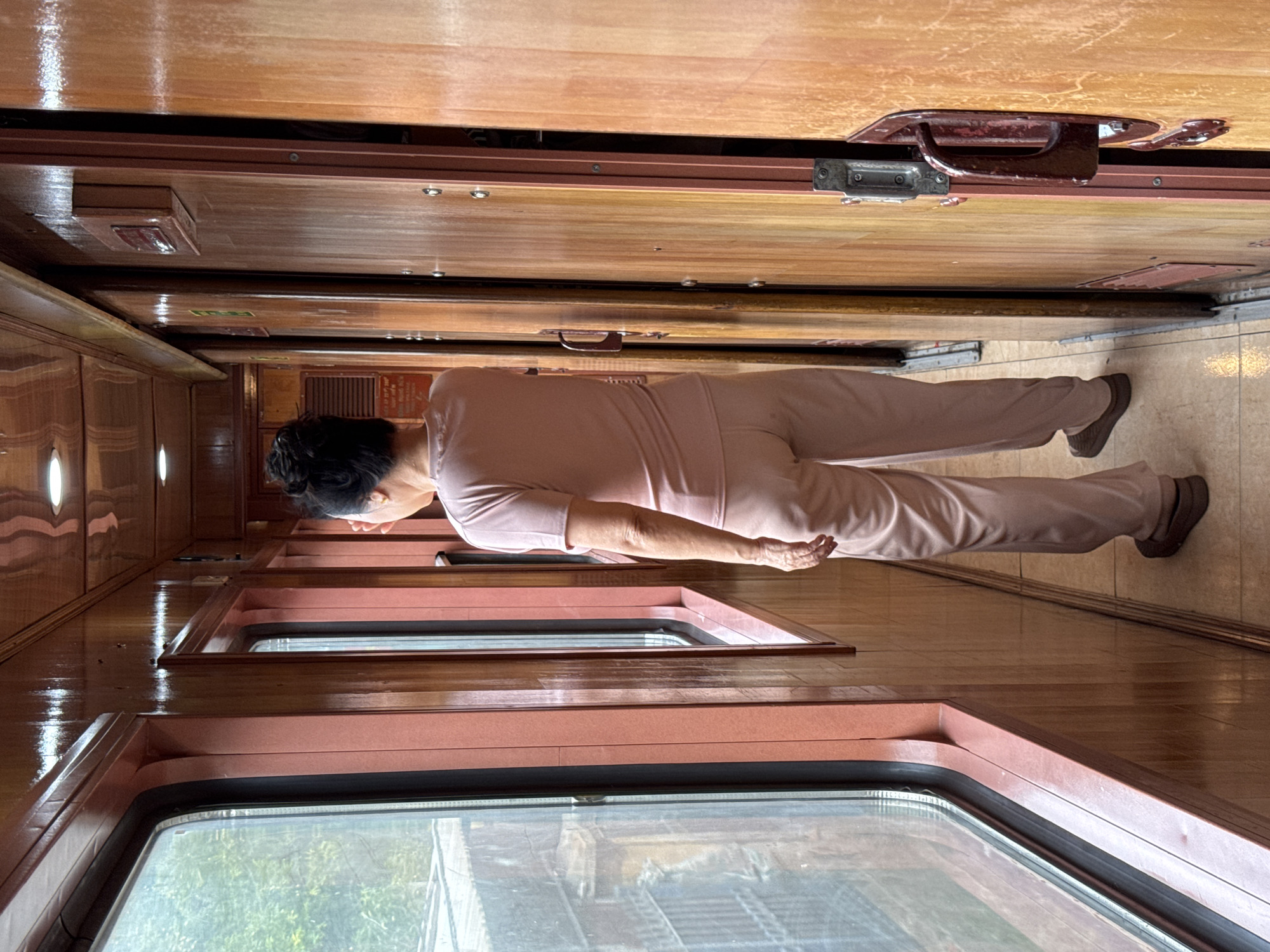 A woman stands in a narrow train corridor, her back to the camera, looking out of a window. She is wearing a light pink t-shirt and matching trousers. The train car is decorated with polished dark wood paneling on the ceiling and walls, and doors with dark metal handles line the right side of the corridor. The windows on the left reveal a blurry green landscape outside. The train appears to be moving through a somewhat overcast environment, possibly on a route from or to Đà Nẵng, Vietnam. The lighting is dim, with bright ceiling lights visible.