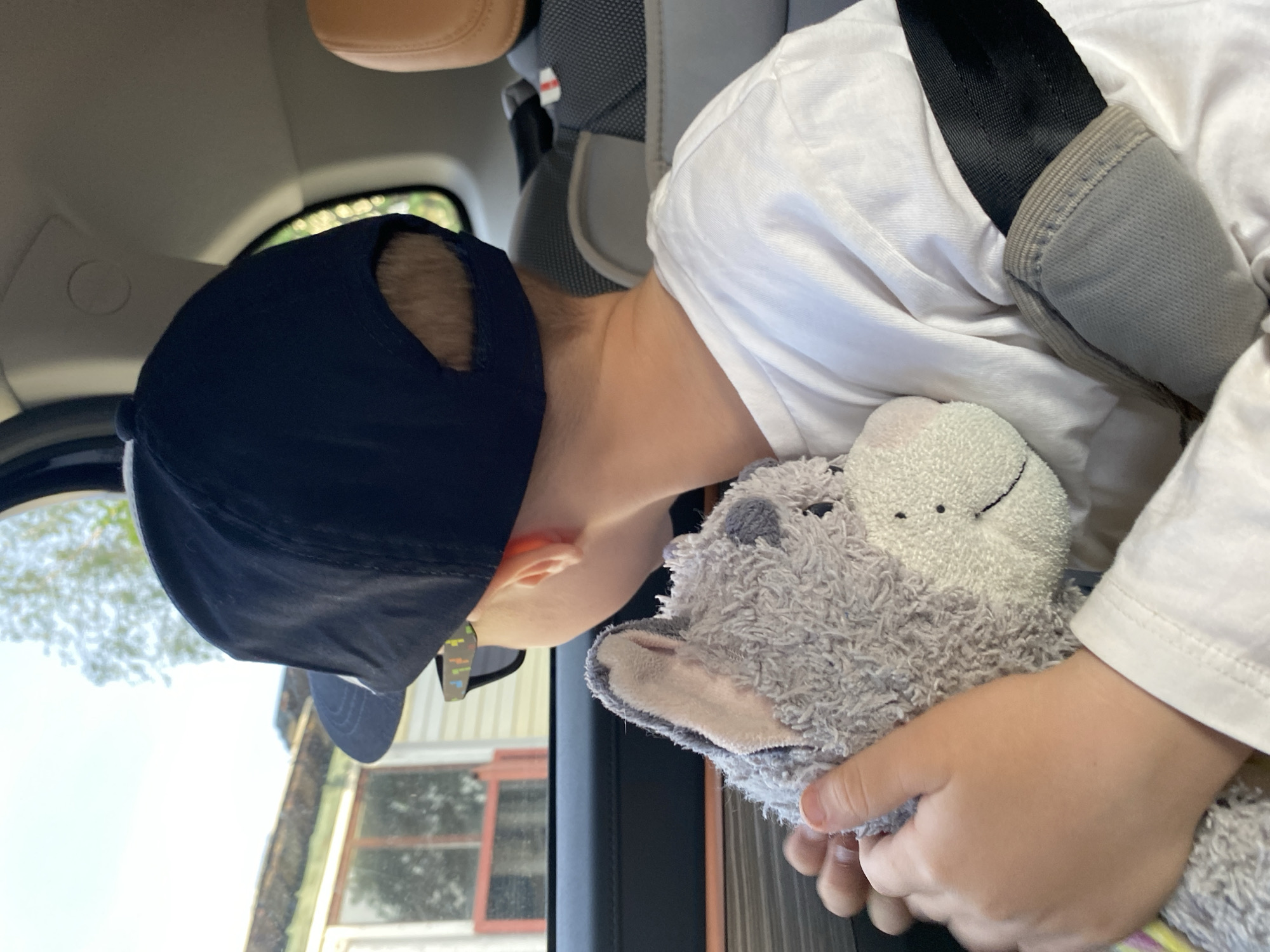 A child wearing a navy baseball cap and a white long-sleeved shirt is seated in a car. The child is wearing a seatbelt and holding a gray stuffed animal. The background shows a building with a window, suggesting the car is moving through an urban or suburban environment. The location in the city of Noviy, Russia is indeterminable based on provided image.