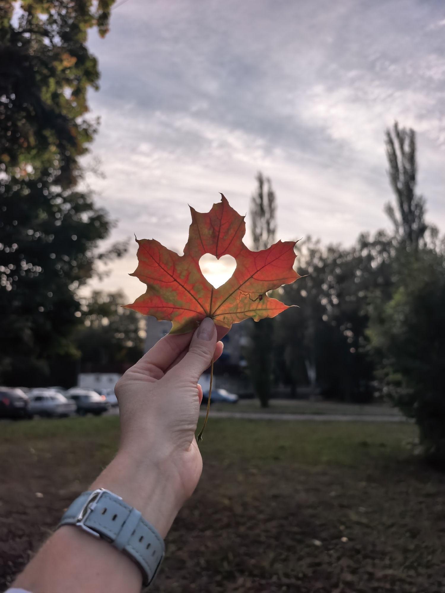 A hand holds a red and green maple leaf with a heart-shaped cutout in the center, through which sunlight shines. The hand wears a light blue watch. The background is blurred and shows a street with parked cars, trees, and a cloudy sky. The location is identified as Sterlitamak, Russia.