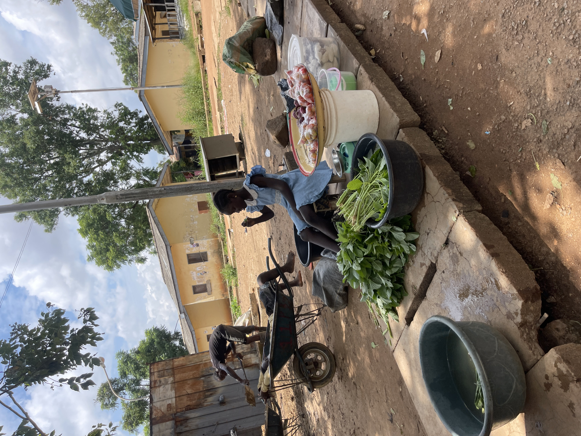In Rafin Par, Nigeria, a scene unfolds under a partly cloudy sky. In the foreground, a young girl in a light blue dress sits on a low stool, eating. To her right, a tray of red onions and other produce is displayed on a stand. Several large bins and tubs are visible; one dark green tub holds a bundle of leafy green vegetables, another lighter green tub contains water and more leafy greens, and a black tub holds a large quantity of leafy greens. Behind the girl, a man in a black t-shirt and dark shorts is shoveling dirt into a wheelbarrow, where another person, partially obscured, lies down. In the background, yellow buildings with peaked roofs line a dirt road. A solar-powered street lamp stands tall in the middle ground. The environment is rustic, with dirt ground, scattered leaves, and a few rocks.