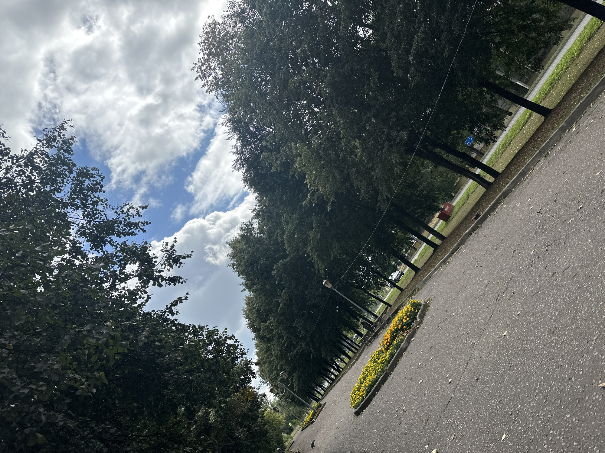 The image depicts a tree-lined avenue in the city of Chekhov, Russia. The perspective is from a low angle, looking down the paved pathway, which is angled to the right. A flowerbed with yellow and orange flowers is situated on the left side of the pathway, bordered by a concrete curb. Several streetlights with decorative lamps are spaced along the pathway. Dense, dark green trees line the right side of the avenue, their foliage creating a canopy. The sky above is a mix of blue and white clouds. In the background, a car is visible on a parallel road, and more trees and greenery are present. The overall scene suggests a well-maintained urban park or boulevard.