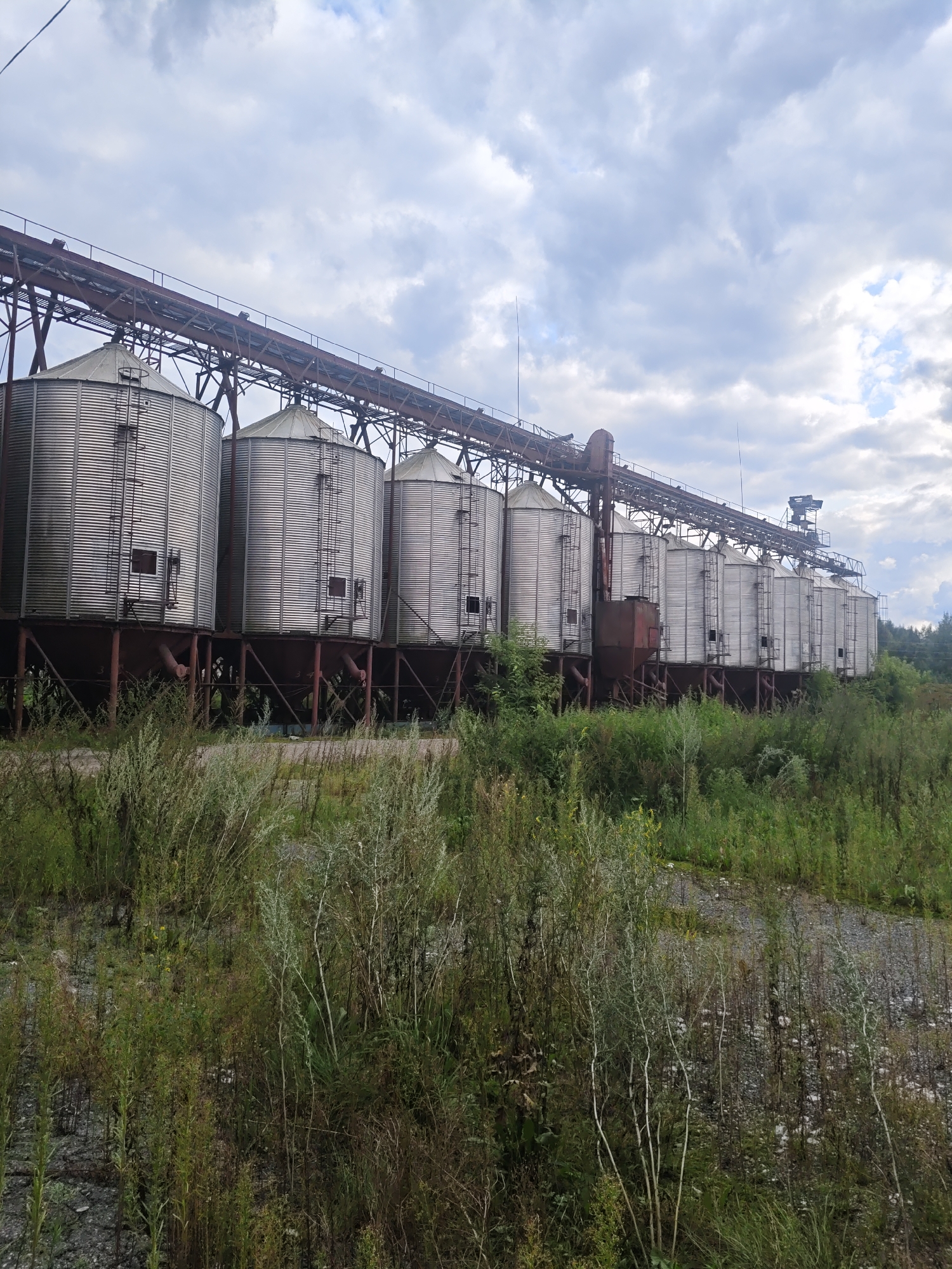 The image shows a long row of industrial grain silos situated in an overgrown, possibly abandoned, area. The silos are tall, cylindrical, and made of corrugated metal, supported by a network of rusty metal beams. They are lined up in a row under a sky filled with dramatic, cloudy formations. A conveyor belt system runs above the silos, connecting them and extending to the right. The foreground is dominated by dense, unkempt vegetation, with tall grasses and weeds obscuring the ground and the base of the silos. The area appears to be in a state of disrepair or natural reclamation, with elements of industry contrasting with the wild greenery. This industrial site is located in the vicinity of Platoschino, Russia. There are no people visible in the image.