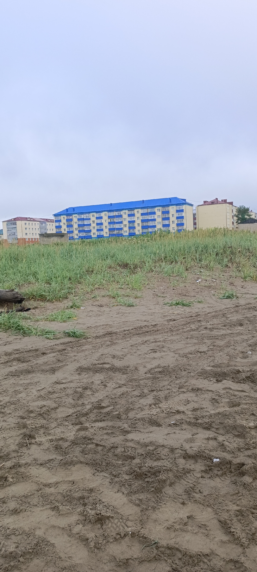 The image captures a view of a building complex with a bright blue roof, a cream-colored facade, and white-trimmed windows, situated behind a field of tall green grass. To the left of this building, another structure with a lighter facade and red trim is visible. The foreground is dominated by sandy ground with visible tire tracks, suggesting vehicle passage. A dark log lies horizontally on the left side of the frame, partially embedded in the sand and grass. The sky above is overcast and pale blue. The scene appears to be an outdoor, possibly coastal or undeveloped area, given the sandy terrain and natural vegetation.