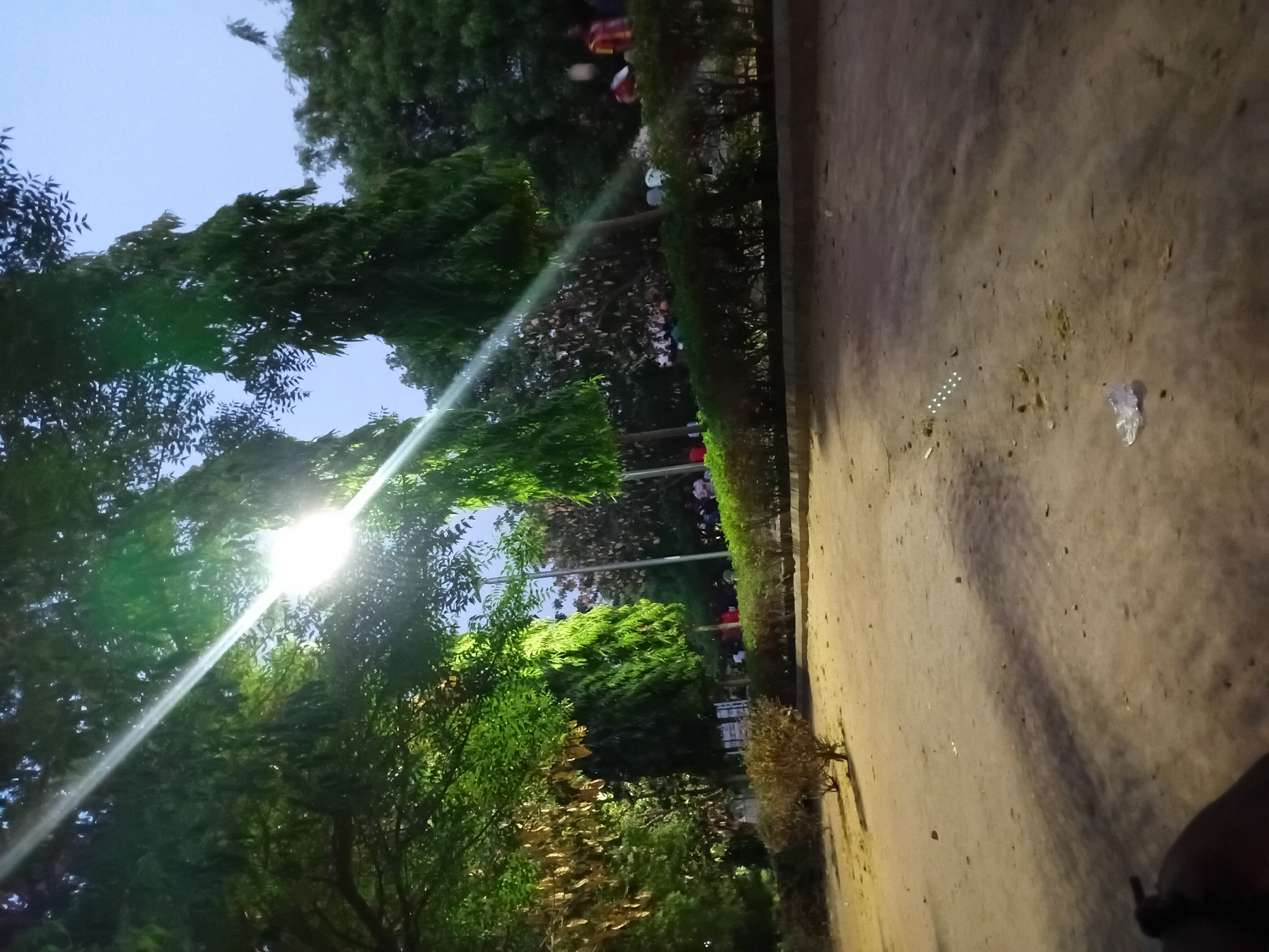 The image shows a nighttime scene in a park. A streetlamp, shining brightly, is partially obscured by tree branches. The park has a paved walkway. Trees line the walkway, and there are people visible in the background, some wearing red or white clothing. Litter is present on the pavement. The sky is visible through the trees, indicating it's dusk or early evening.