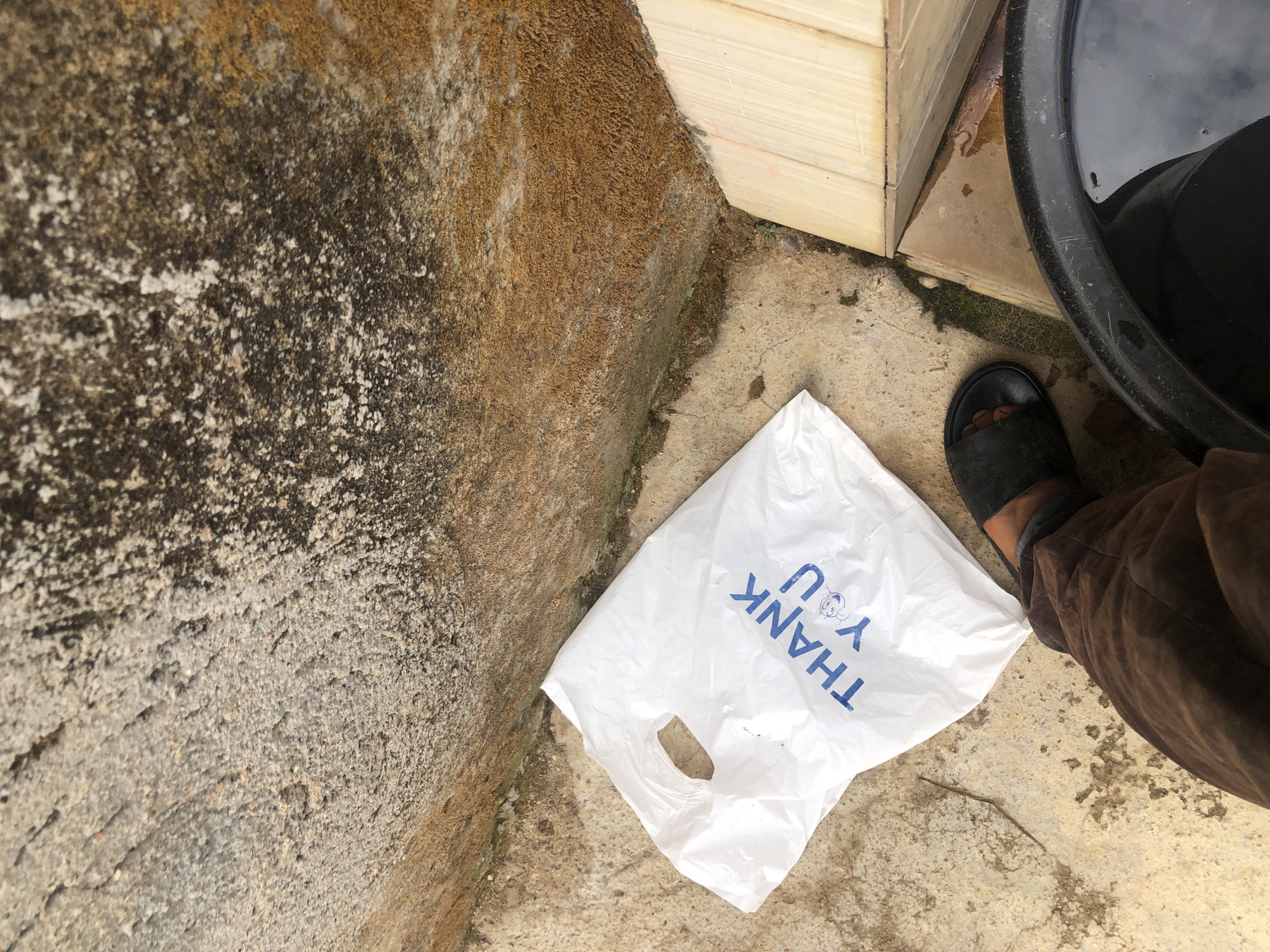 An overhead photograph captures a concrete ground surface meeting a textured concrete wall. The wall exhibits patches of grey, dark discoloration, and a significant section of reddish-brown and green biological growth. On the ground, a white plastic bag printed with "THANK YOU" in blue text, including a small cartoon face, is visible. Adjacent to the bag, a person's lower leg, clad in brown trousers and a black slide sandal, is present. In the bottom right corner, a portion of a black plastic tub containing liquid reflects the scene. A section of light-colored wooden or tiled material is also visible near the base of the wall.