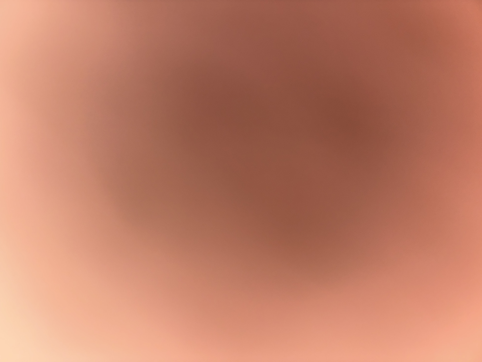 The image is a blurry, out-of-focus shot of a reddish-brown gradient. There is no discernible subject, person, object, action, or interaction visible. No location is identifiable, and there are no environmental details present in the image. The image provides no information about Budva, Montenegro.