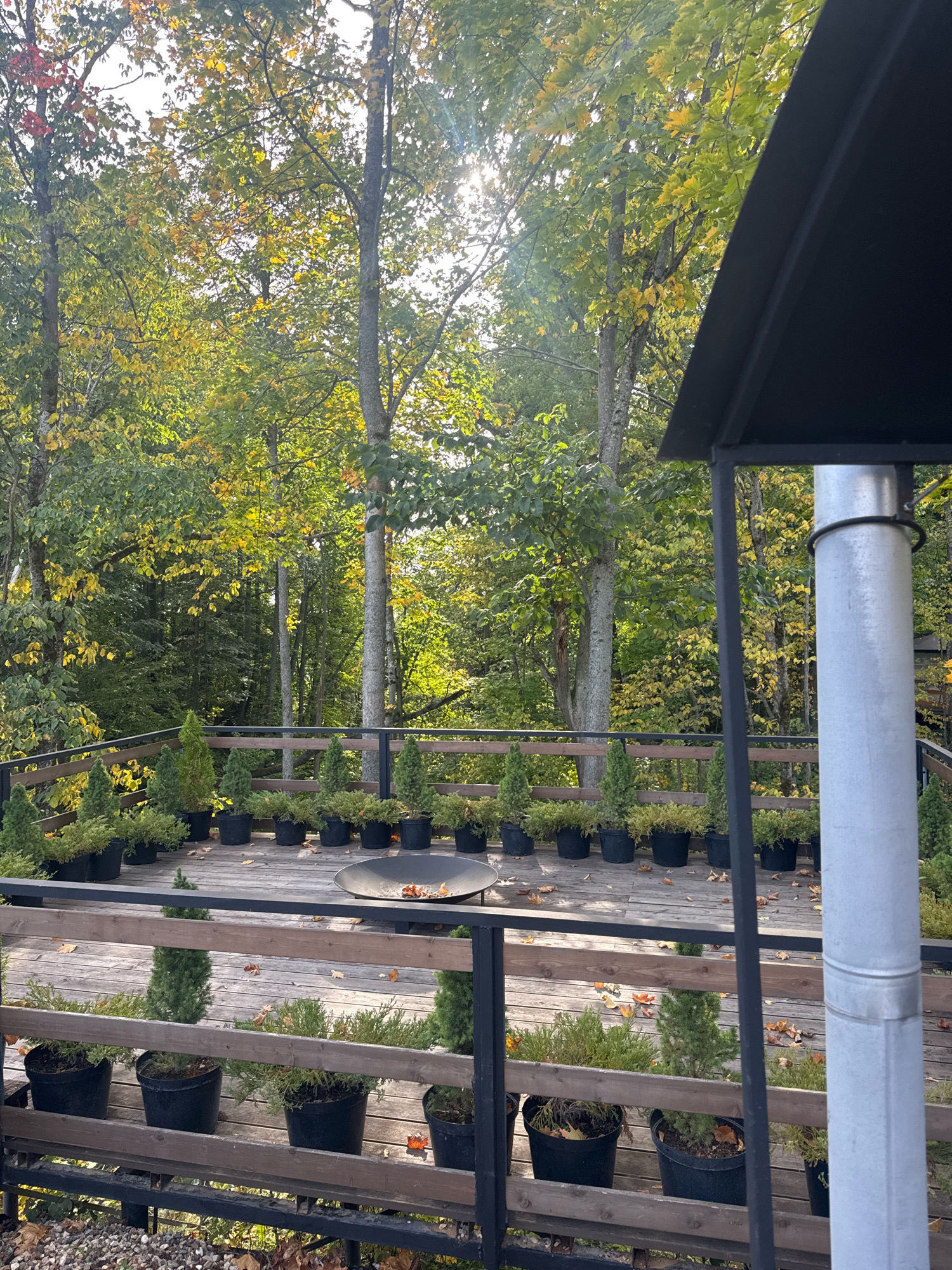 A wooden deck is situated in front of a forest of trees with autumn foliage. The deck is lined with black pots containing small evergreen trees and shrubs. In the background, a large, dark metal fire pit is visible on the deck. The sky is bright, with sunlight filtering through the trees. A portion of a black roof structure and a grey metal pole are in the foreground on the right side of the image. The scene appears to be an outdoor seating area in a natural setting.