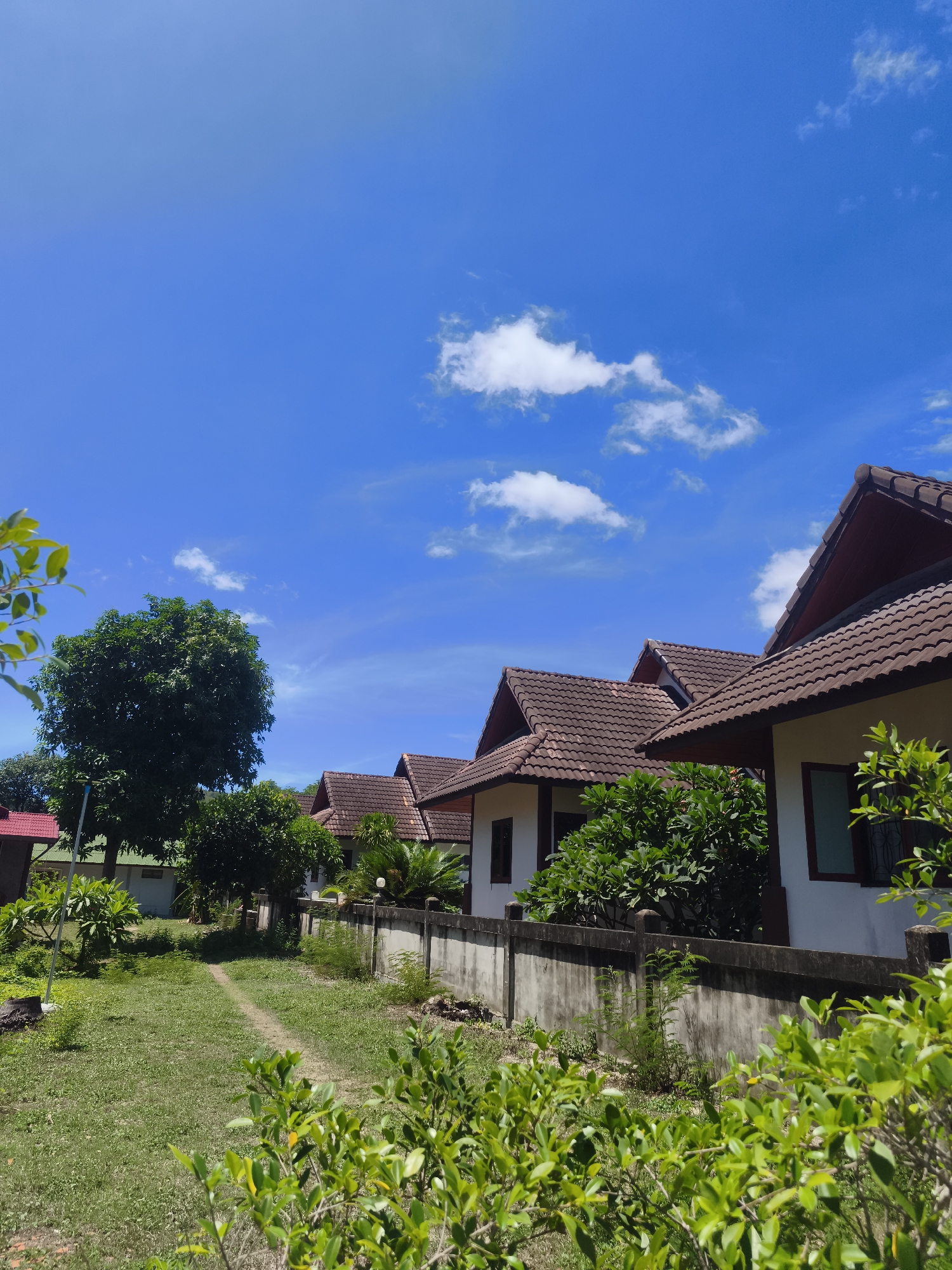 The image captures a row of single-story houses in Baan Bo Phut, Thailand. The houses are white with brown tiled roofs, and a low concrete wall runs along the front of the properties, separating them from a grassy area. Lush greenery and trees are present, both behind the wall and in the foreground. The sky is a clear blue with scattered white clouds. There are no people visible in the image.