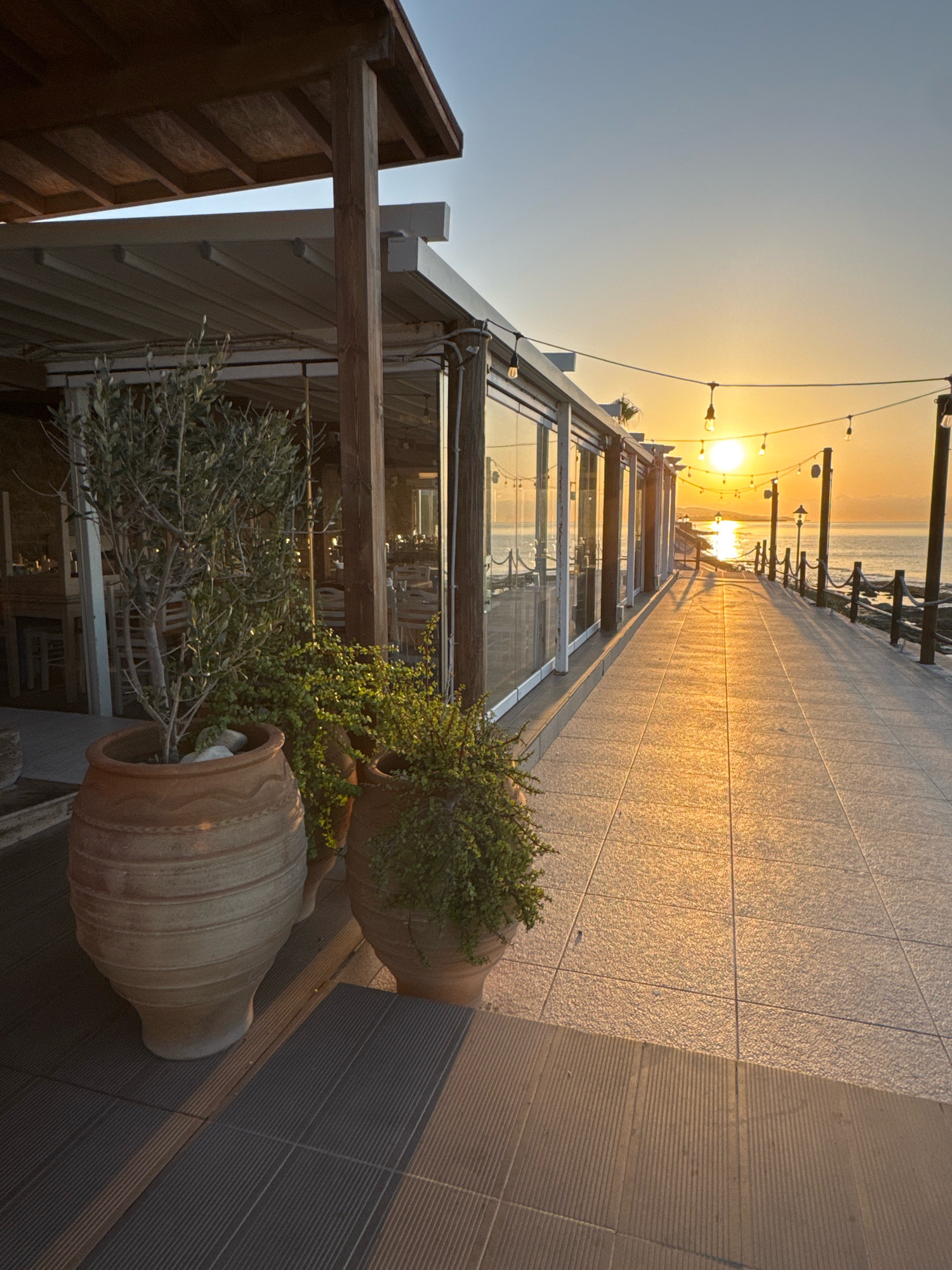 The image shows an outdoor seating area of a restaurant or cafe situated along the coast in Agios Tychona Community, Cyprus. The sun is setting, casting a warm golden light across the scene. In the foreground, to the left, are two large terracotta pots, one containing a small olive tree and the other a lush green plant. Behind the pots is the exterior of the establishment, featuring glass walls and a wooden-slatted roof supported by wooden pillars. A paved walkway extends to the right, lined with a low rope fence and lampposts. The sea is visible in the distance, with the sun reflected on its surface. The overall impression is of a serene, picturesque coastal dining setting at dusk.