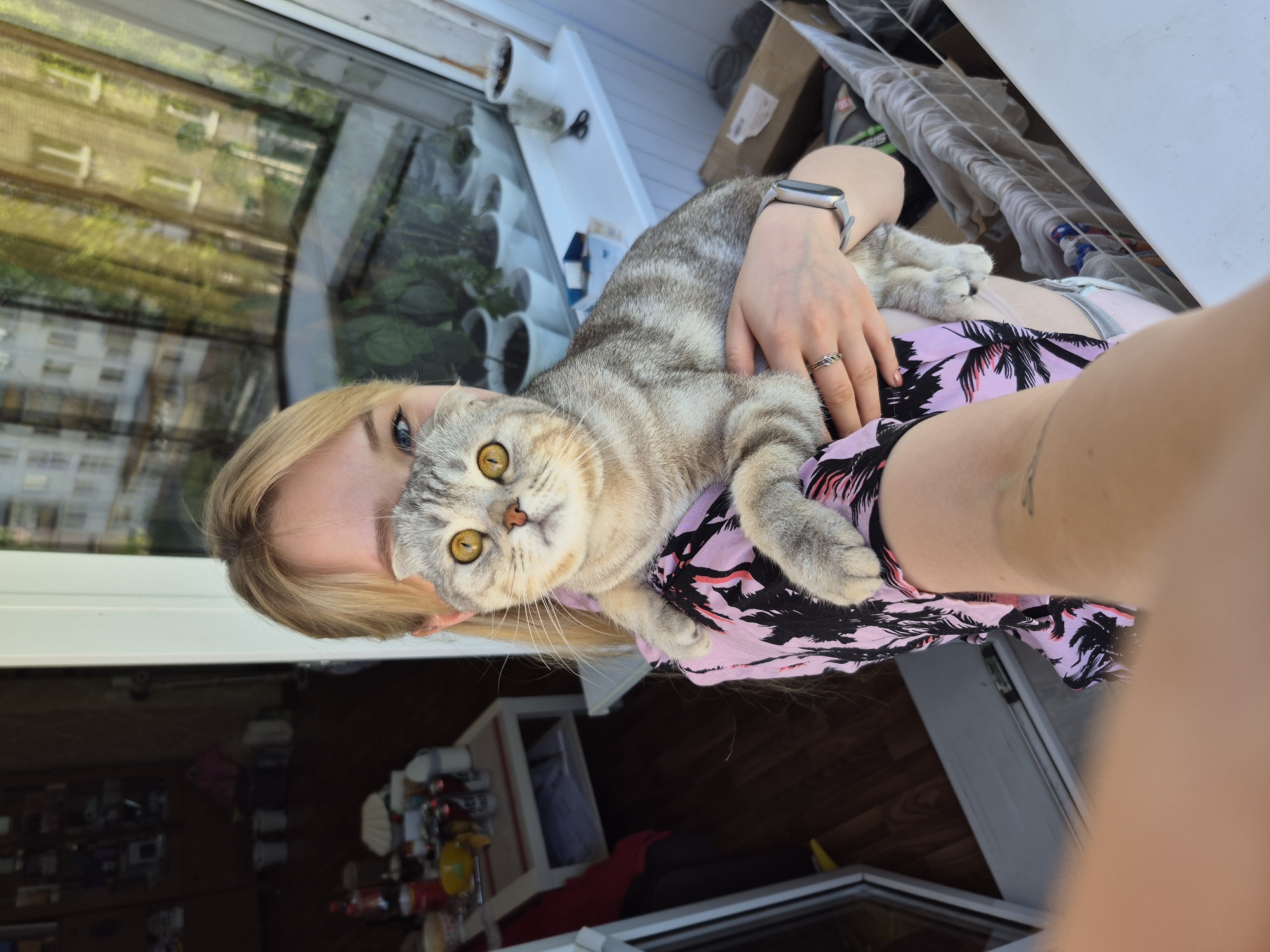 A fair-skinned woman with blonde hair is holding a grey tabby Scottish Fold cat. The cat has yellow eyes and a serious expression. The woman is wearing a pink shirt with a palm tree design and a smart watch on her wrist. She has a ring on her ring finger. They appear to be inside a building in Chaikovsky, Russia, near a window with a reflection of other buildings. A clothes drying rack with clothing and various items are visible in the background.