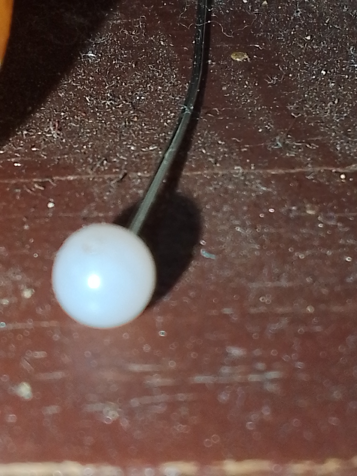 A close-up shot reveals a white pearl-headed pin resting on a dusty, dark brown surface. A slender metal pin shaft extends upwards from the pearl head. The surface appears to be wooden or a similar material, exhibiting a dull, worn texture. Dust particles and debris are scattered across the surface. There are no identifiable people or actions in the image. The location is unknown.