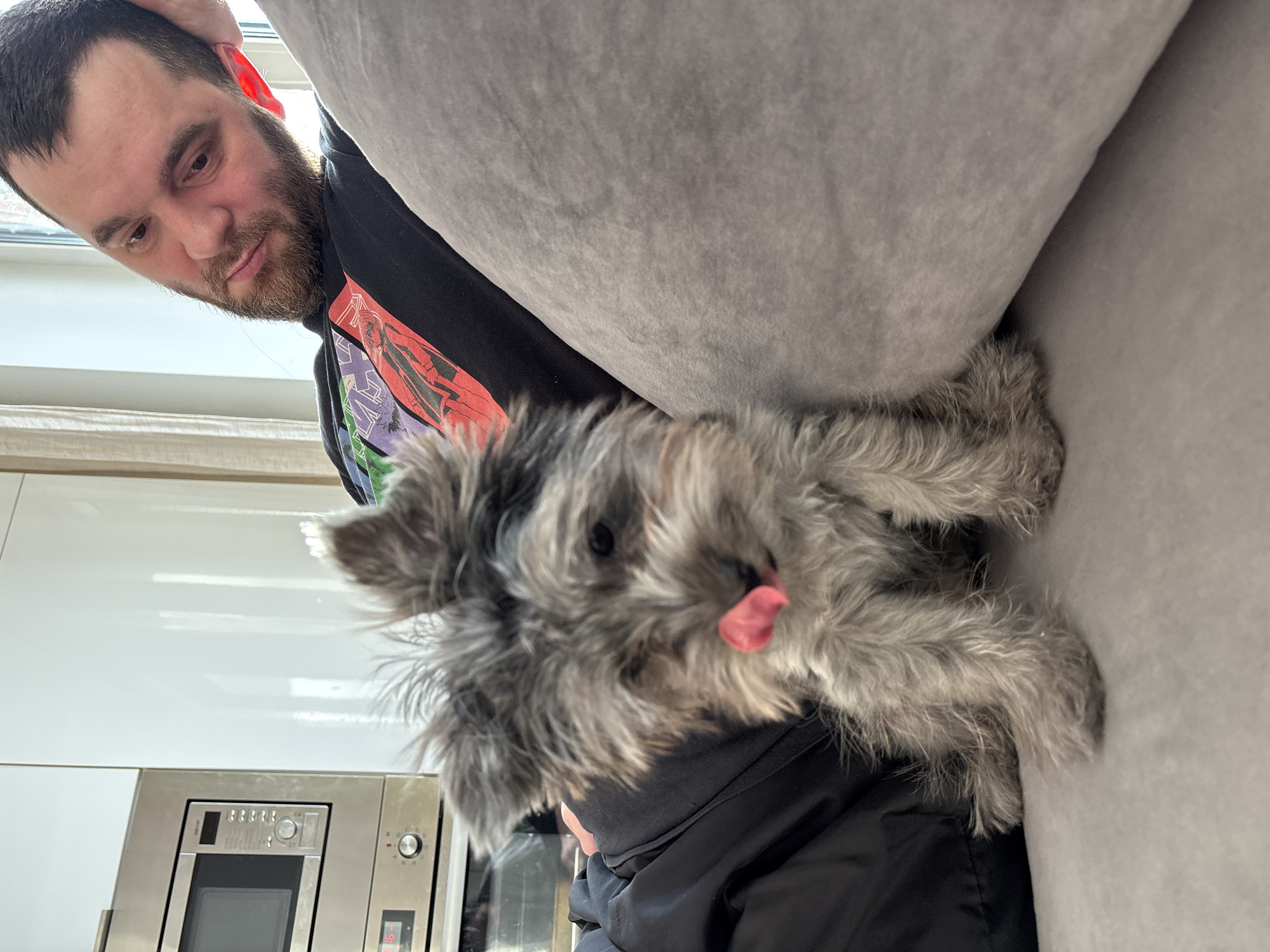 An adult male with dark hair and a beard is reclined on a gray upholstered couch, looking down towards a small, shaggy-haired dog. The man wears a black t-shirt with a multicolor graphic. The dog, with a gray and black coat, is positioned on the same couch, sitting upright with its pink tongue extended upwards, licking its snout. In the background to the left, a modern kitchen is visible with white cabinets and stainless steel built-in appliances, including a microwave oven and a conventional oven with digital displays. A window on the right provides ambient light. The scene occurs indoors, likely within a private residence in the city of Chaikovsky, Russia.