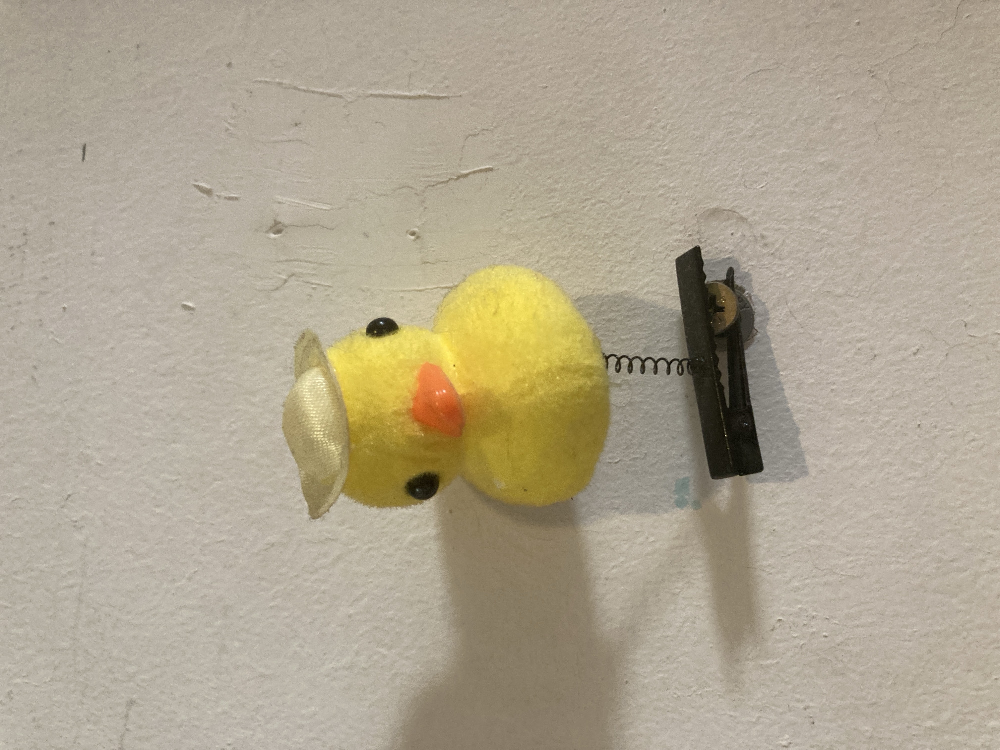 A yellow, stuffed, toy duck with a white beak is attached to a black clip with a metal spring, both affixed to a white textured wall. The duck has black button eyes and an orange nose. The clip is attached to the wall with a screw. The scene appears to be indoors. Location: Unknown, Unknown.
