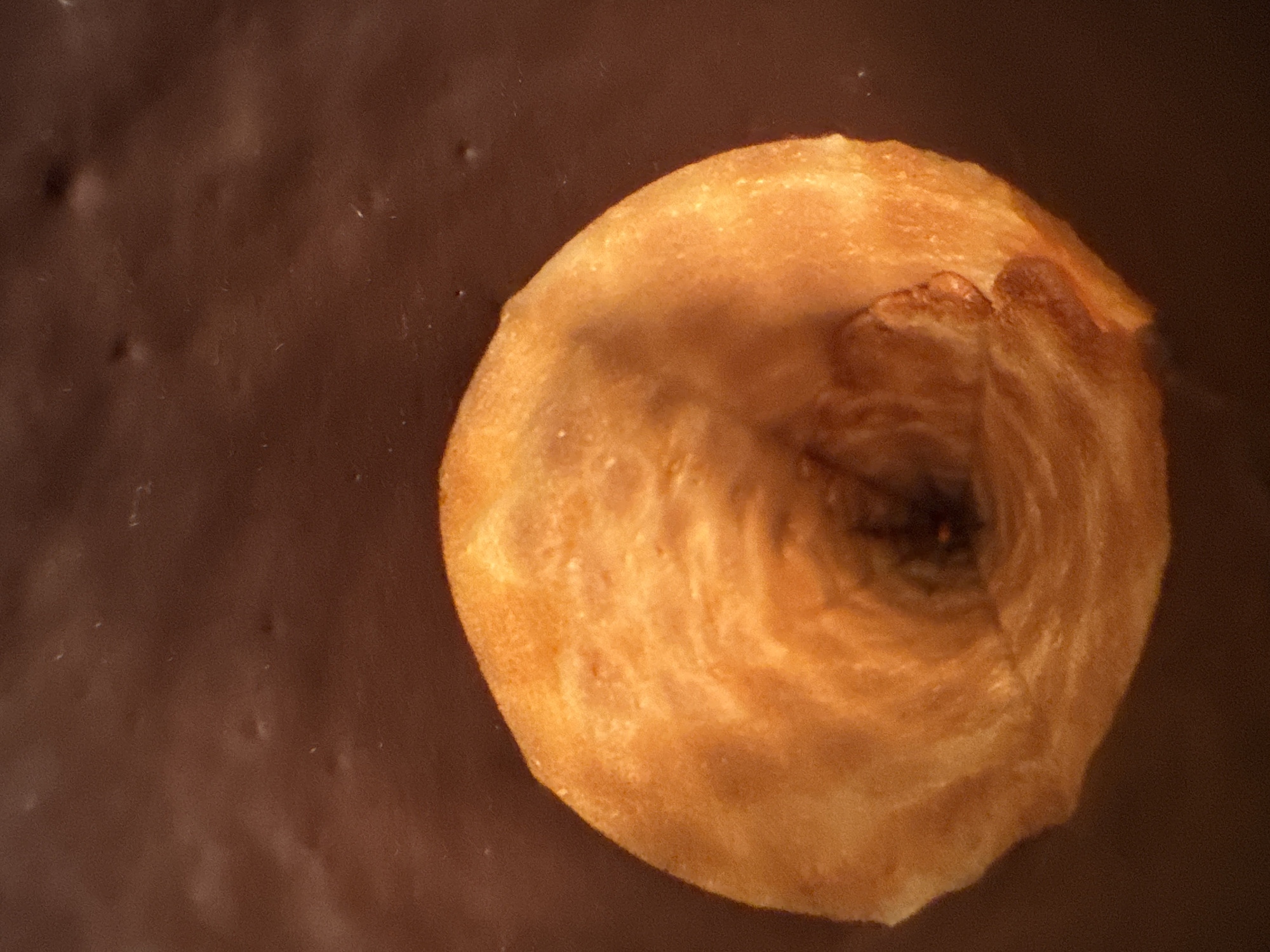 A close-up shot features a single, partially roasted hazelnut resting on a dark brown, slightly textured surface that could be chocolate. The hazelnut is positioned on the right side of the frame and has a circular shape with a slightly rough, uneven texture. Its color is a warm, golden brown, with darker, swirling patterns towards its center. The background is a smooth, dark brown, possibly solid chocolate with subtle imperfections and variations in texture. The lighting in the image is soft and warm, casting highlights and shadows that emphasize the textures of both the hazelnut and the chocolate. There is no indication of the location being Provincetown, USA.