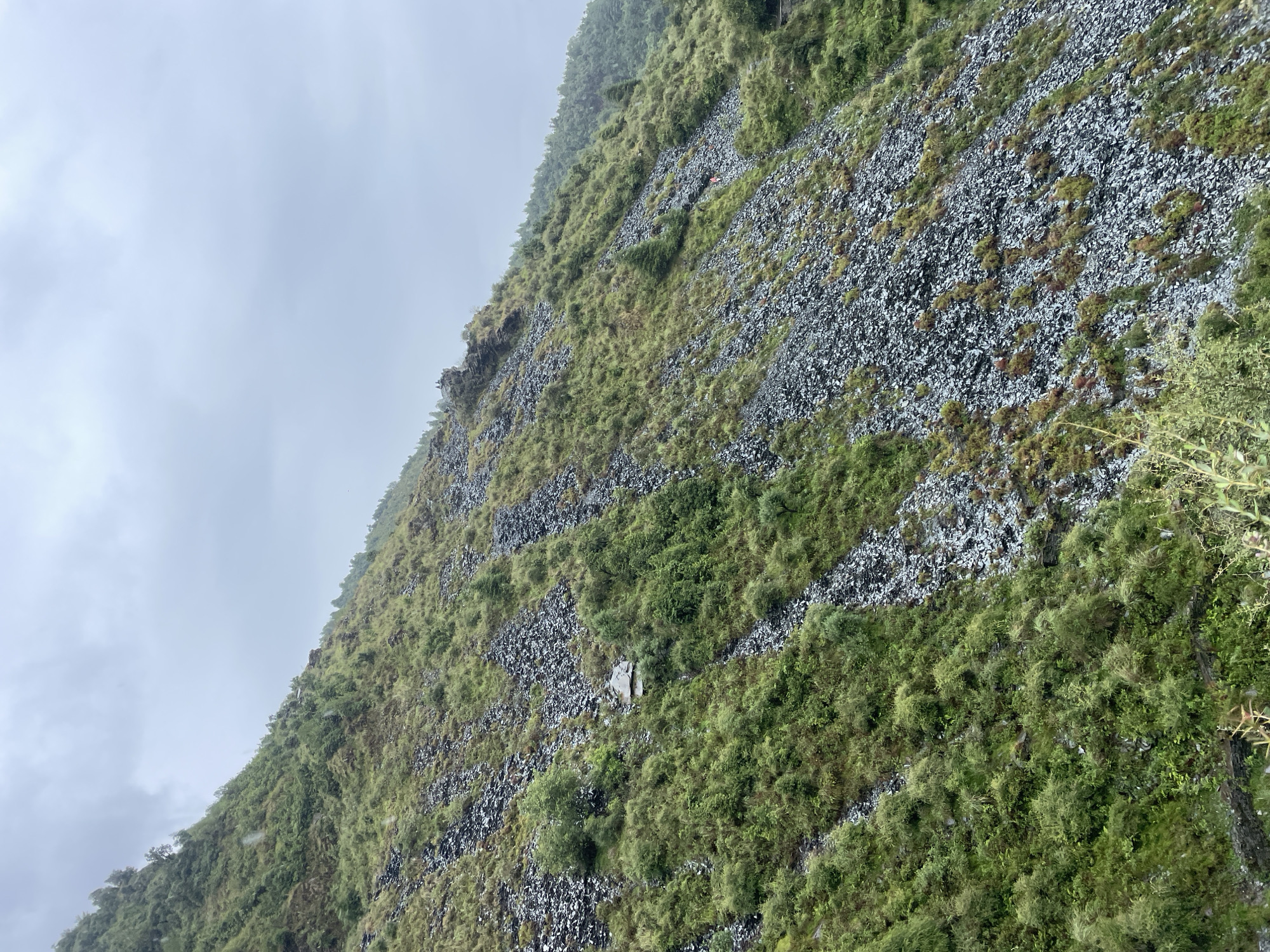 The image captures a steep, rugged mountainside in Bhagsu, India, under an overcast sky. The terrain is a mix of dense green vegetation, scattered trees, and patches of dark, rocky scree. A small, weathered building with a light-colored roof is nestled partway up the slope, surrounded by foliage. The overall impression is one of a remote, natural landscape, possibly a hiking trail or an area prone to landslides. The weather appears to be cool and damp, with a visible mist or light rain.