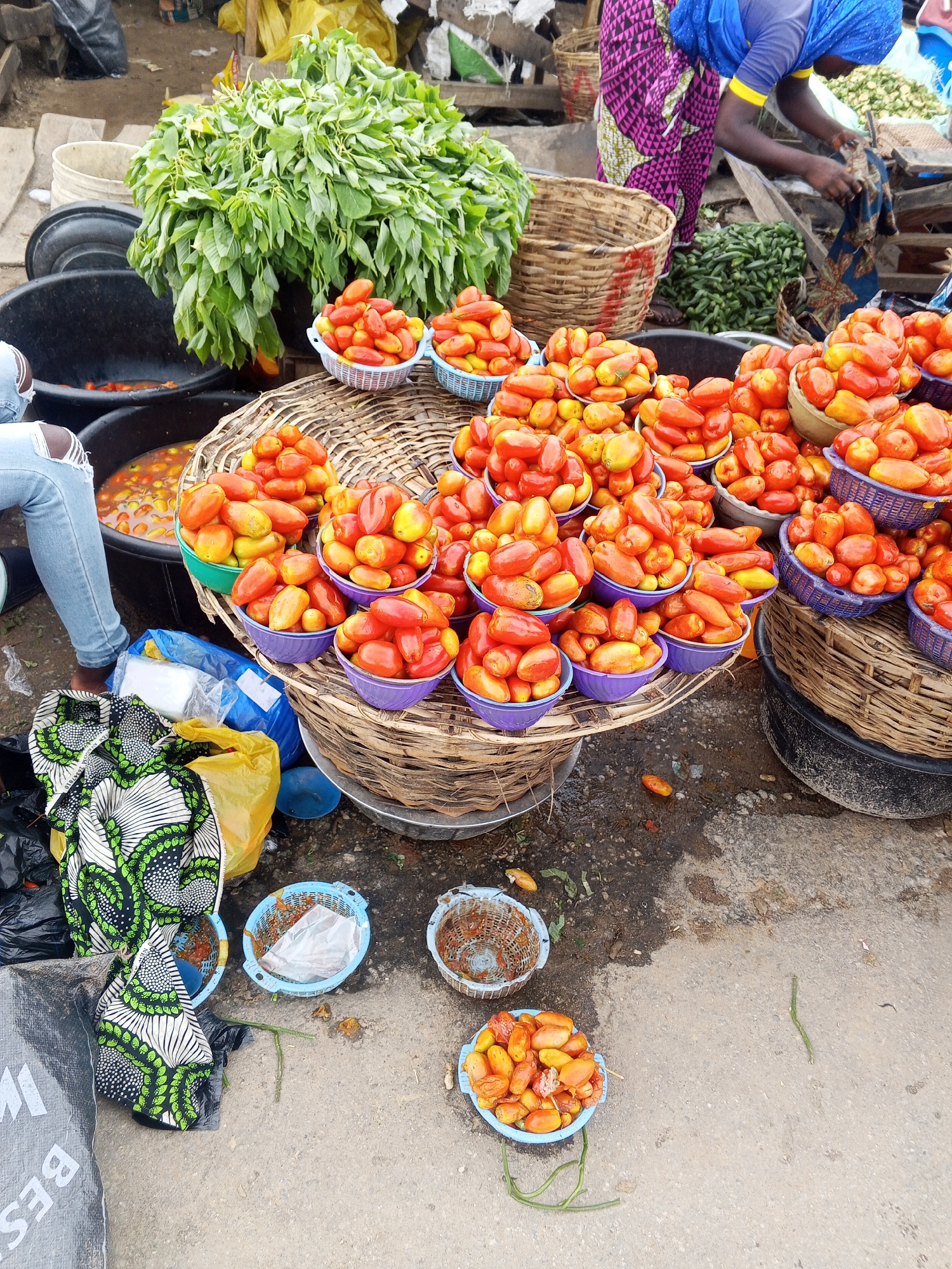 At a Zango-ndaji, Nigeria, outdoor market, a vendor wearing a blue headscarf and a vibrant purple and black patterned skirt is arranging vegetables. In the foreground, an array of ripe tomatoes are displayed in various woven baskets and plastic bowls. Some tomatoes are a deep red, while others are a lighter, yellowish-orange. Behind the tomatoes, a large bunch of green leafy vegetables is visible. To the left, a person in ripped blue jeans is seated next to large black basins containing what appears to be water and possibly more produce. The ground is a mix of concrete and dirt, with some scattered produce and debris. Several plastic bags and fabric items are also present.