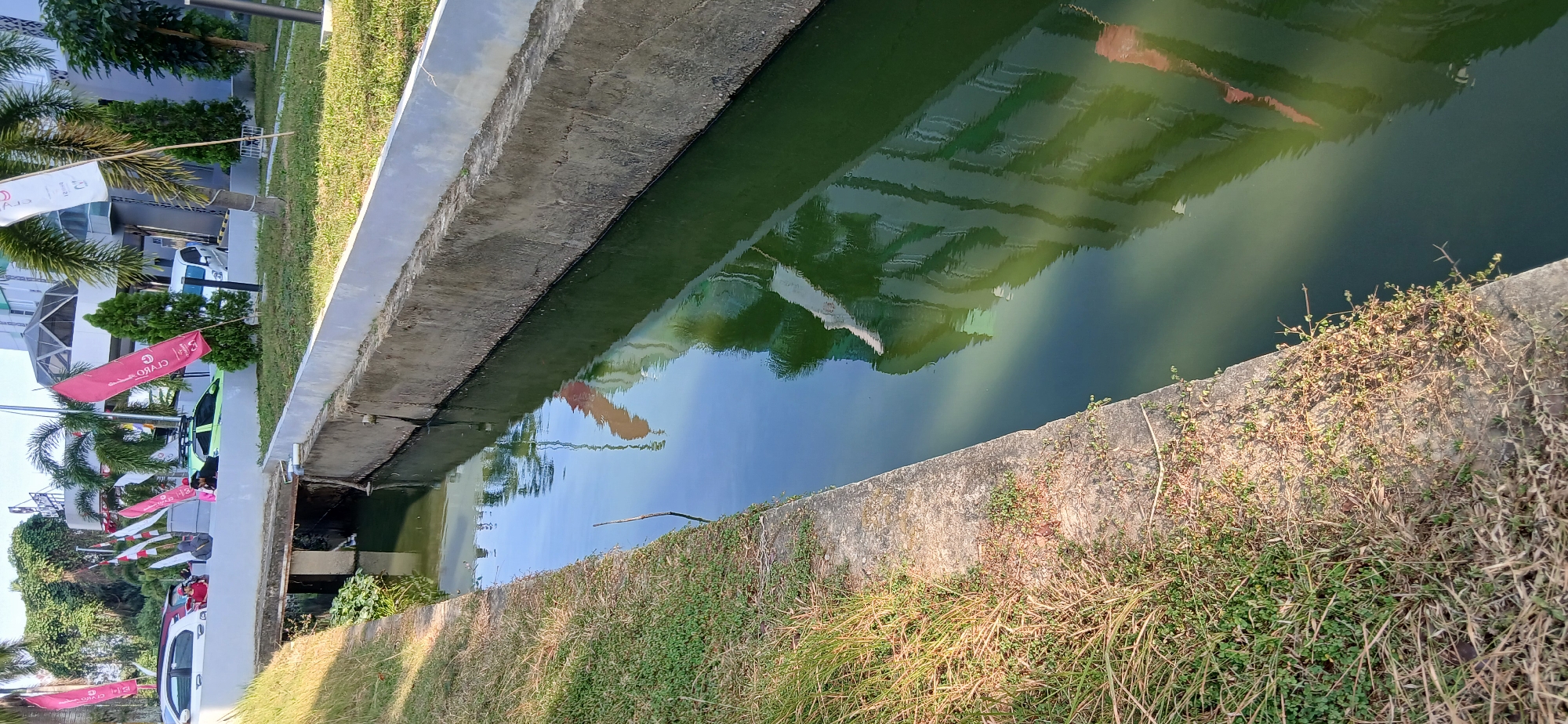 This is a medium-angle, eye-level shot of a concrete drainage ditch in Samarinda, Indonesia. The ditch runs diagonally from the lower left to the upper right of the frame and is filled with murky green water. The left bank of the ditch is overgrown with dry grass and sparse green vegetation. The right bank is lined with concrete and has a white-painted cap. Beyond the right bank, there is a grassy area with palm trees, small decorative trees, and several flags. In the background, a modern building with a glass facade and geometric roof is visible, along with parked cars and people standing on a raised walkway. The reflection of the building and flags is visible in the water. The scene appears to be during the daytime, with bright sunlight casting shadows.
