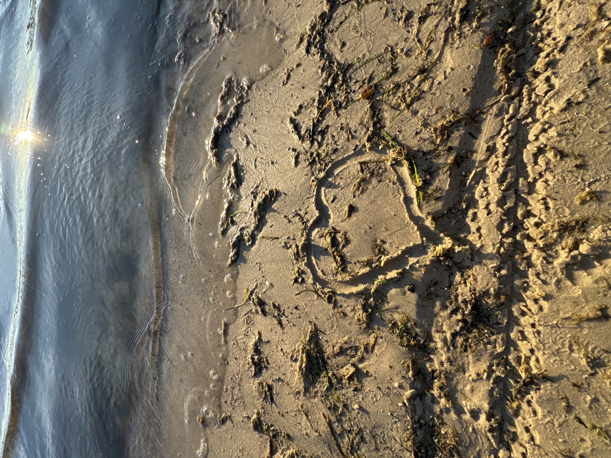 A heart shape is drawn in the sand on a beach, with gentle waves lapping at the shore. The sun glints off the water, casting a warm glow on the scene. There are small pieces of seaweed and debris scattered on the sand. The image appears to be taken at sunset or sunrise, due to the low angle of the sun and the warm lighting. This scene could be any beach with sand and water, and there are no specific indicators of it being in Tallinn, Estonia.