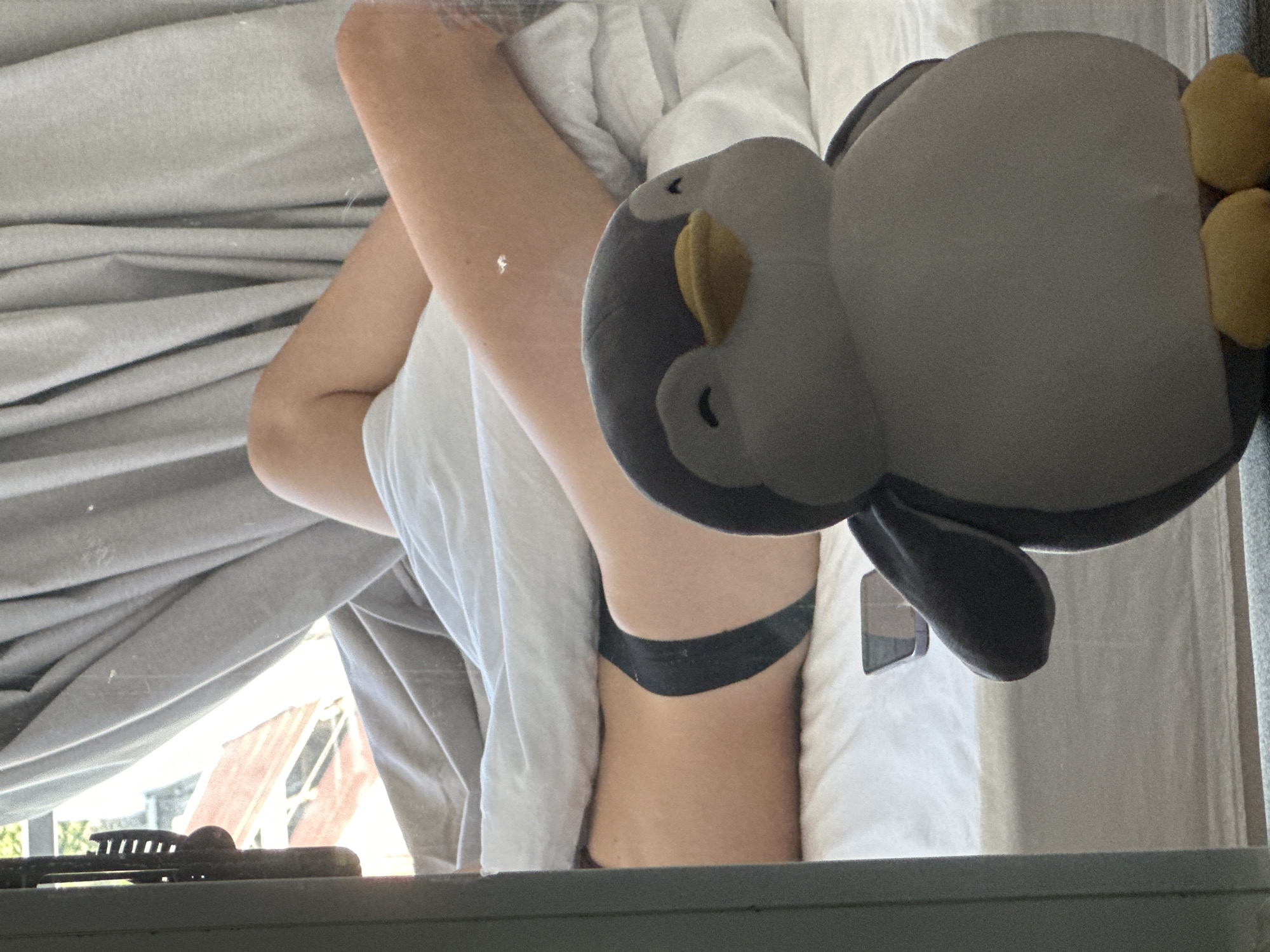 A stuffed penguin is in the foreground of the image, obscuring the lower half of a person lying in bed. The person is covered by white sheets and gray blankets, with only their legs and midsection visible. They are wearing black underwear. The background shows a window with light gray curtains drawn partially open, revealing a glimpse of buildings and greenery outside. The scene appears to be indoors, likely a bedroom. There is no information in the image to suggest a location in Đà Nẵng, Vietnam.