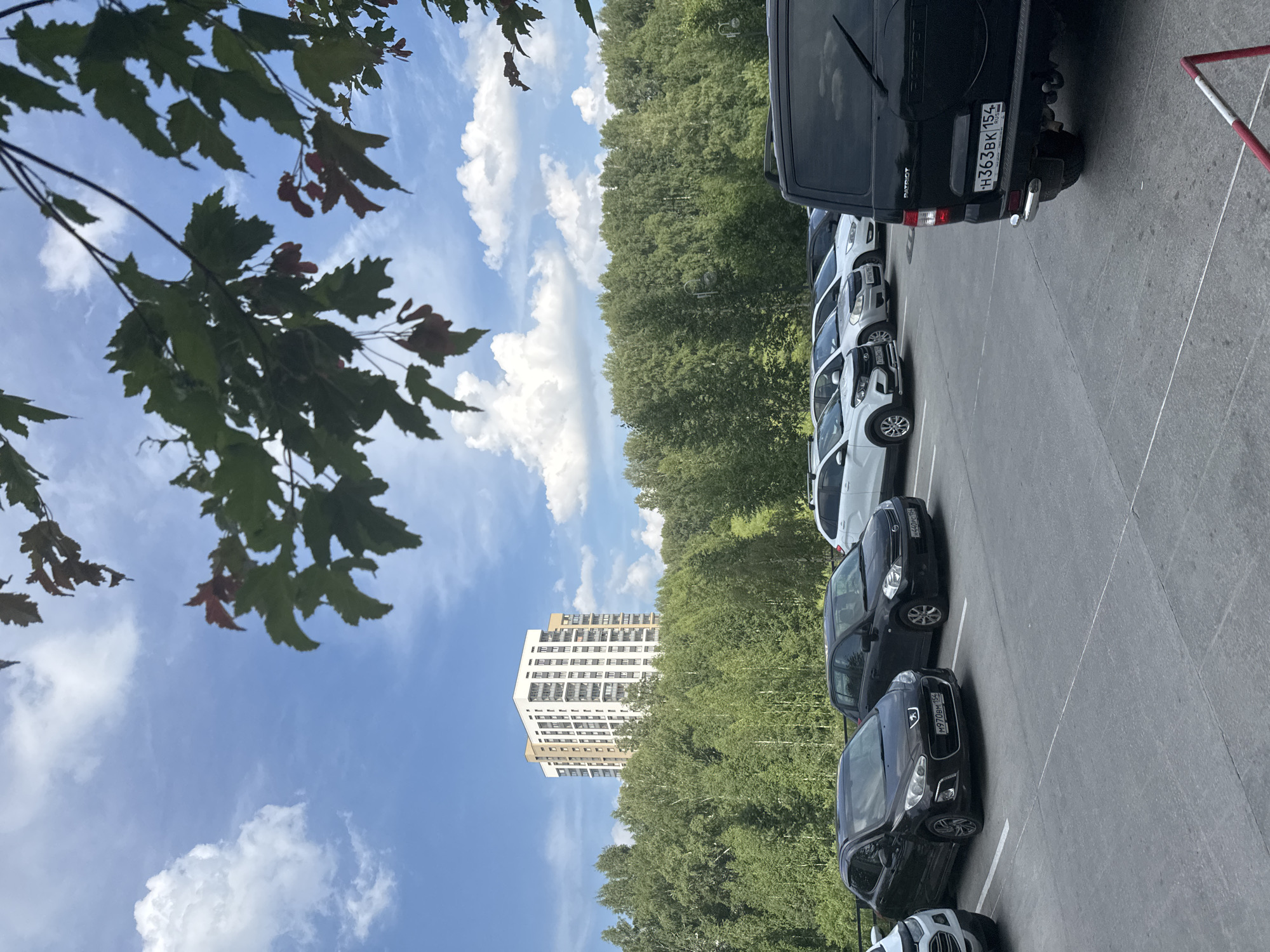 The image shows an outdoor parking lot in Koltsovo, Russia, on a clear, sunny day. Several cars are parked in marked spaces. In the background, a tall, modern apartment building with light-colored facades and numerous windows stands out against a backdrop of dense green trees. The sky is blue with scattered white clouds. Branches with green leaves and some reddish hues are visible in the foreground, obscuring parts of the sky. The parking lot surface appears to be asphalt or concrete. One car in the foreground, a black SUV with a spare tire mounted on the back, has a license plate visible that reads "H363BK 154". Another black hatchback has a license plate "M970BM 154".