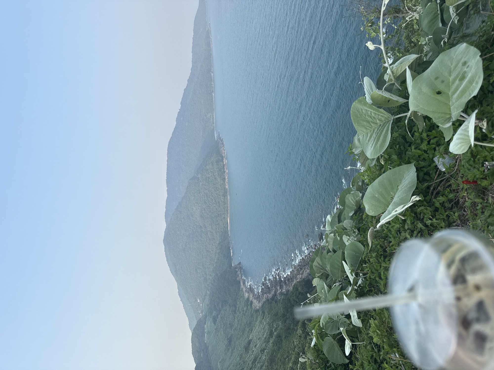 The image shows a coastline view, likely taken from a high vantage point in Đà Nẵng, Vietnam. The sea is on the right, with a rocky shoreline where the water meets the land. A mountain range covered in dense green vegetation parallels the coast. In the foreground, there is vegetation, including large-leafed plants. A disposable cup with a straw is also in the foreground, slightly out of focus. The sky is a pale blue, suggesting either early morning or late afternoon lighting.