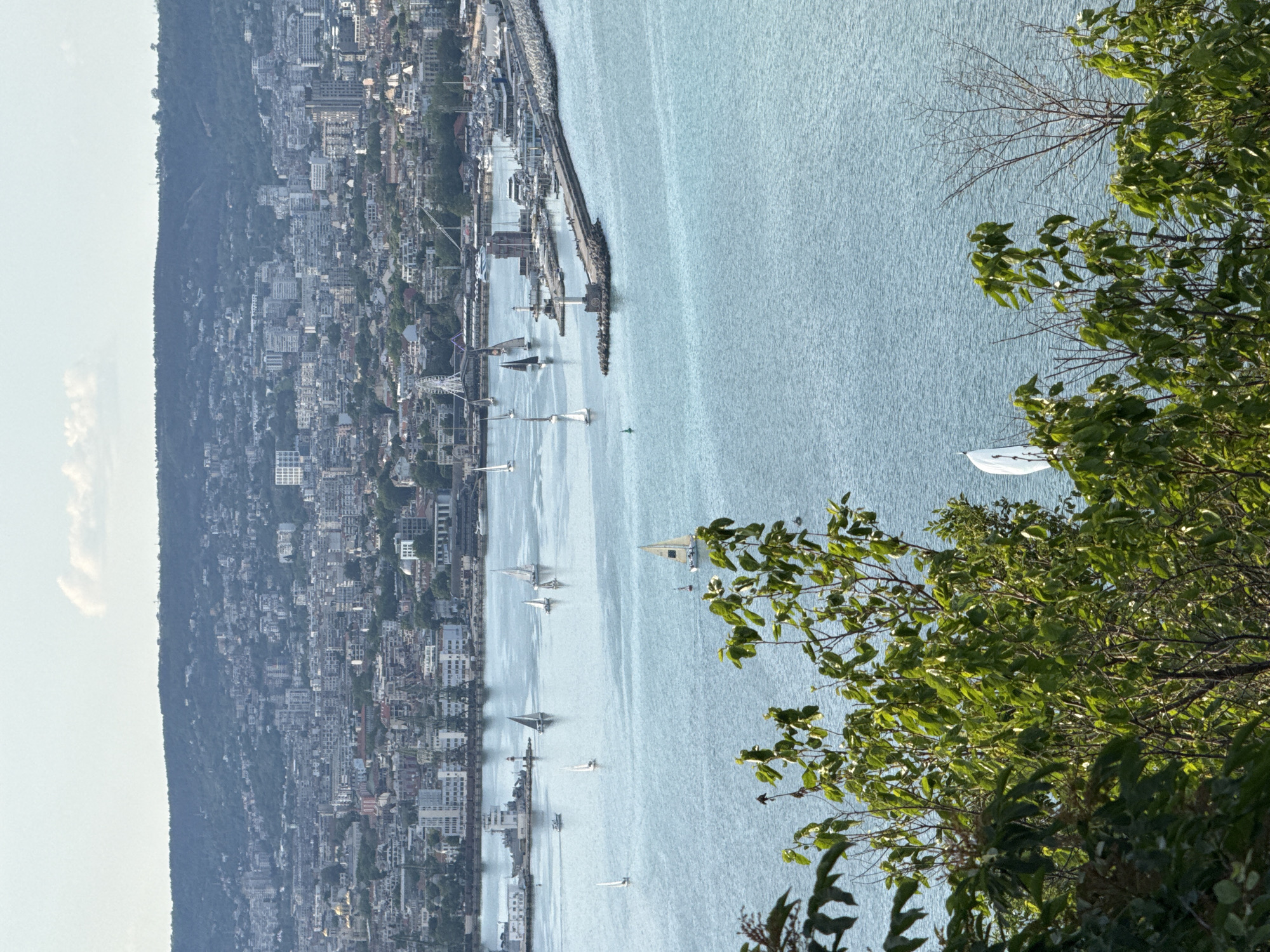 The image shows a panoramic view of the city of Varna, Bulgaria, from an elevated perspective overlooking the Black Sea. The city's buildings are densely packed along the coastline and extend up a gradual hillside. A breakwater extends into the sea, and several sailboats are visible on the water, indicating a calm day. The foreground includes foliage from a tree or bush, partially obstructing the view, suggesting the photo was taken from a park or natural viewpoint. The sky is clear and light, suggesting it is daytime.