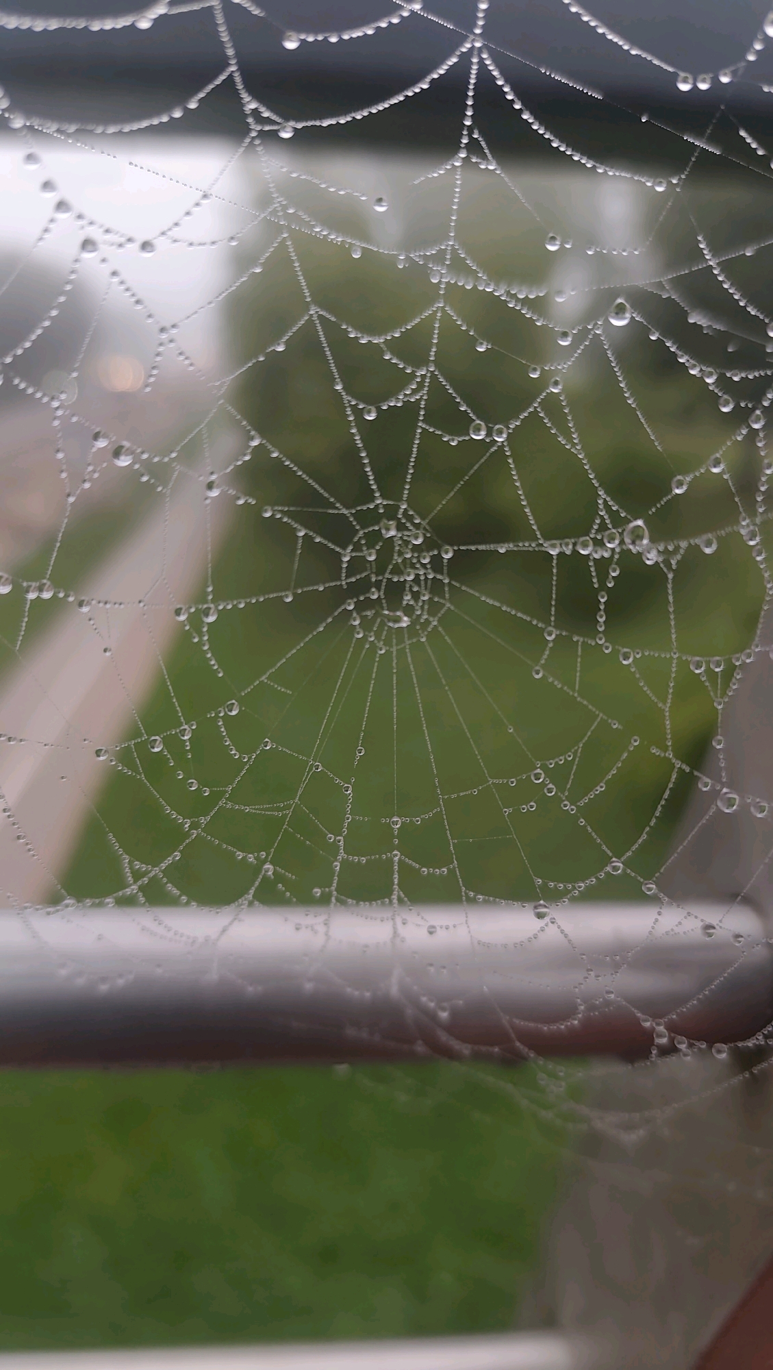 The image is a close-up, macro shot of a spider web covered in dew drops, set against a blurred background of green foliage and what appears to be a railing. The spider web is intricate, with fine threads forming concentric circles and radial lines, each adorned with numerous tiny water droplets that refract light. The background suggests an outdoor environment, possibly a garden or park area, with hints of distant structures or pathways. The overall impression is one of natural beauty and detail, captured in soft focus. There is no information in the image to indicate a specific location within Jonava, Lithuania.